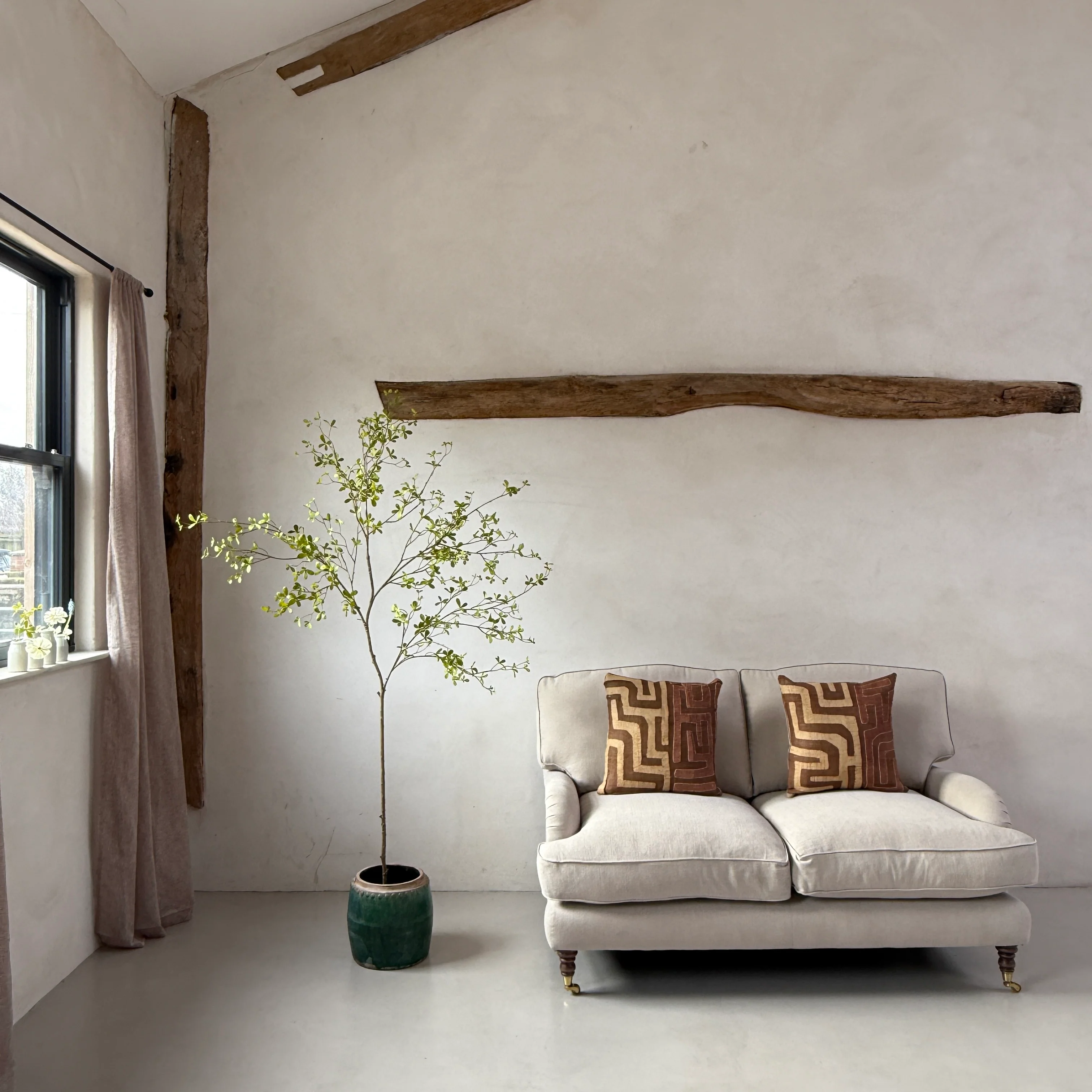 Faux potted Bucida Black Olive Tree 220cm - Image 4