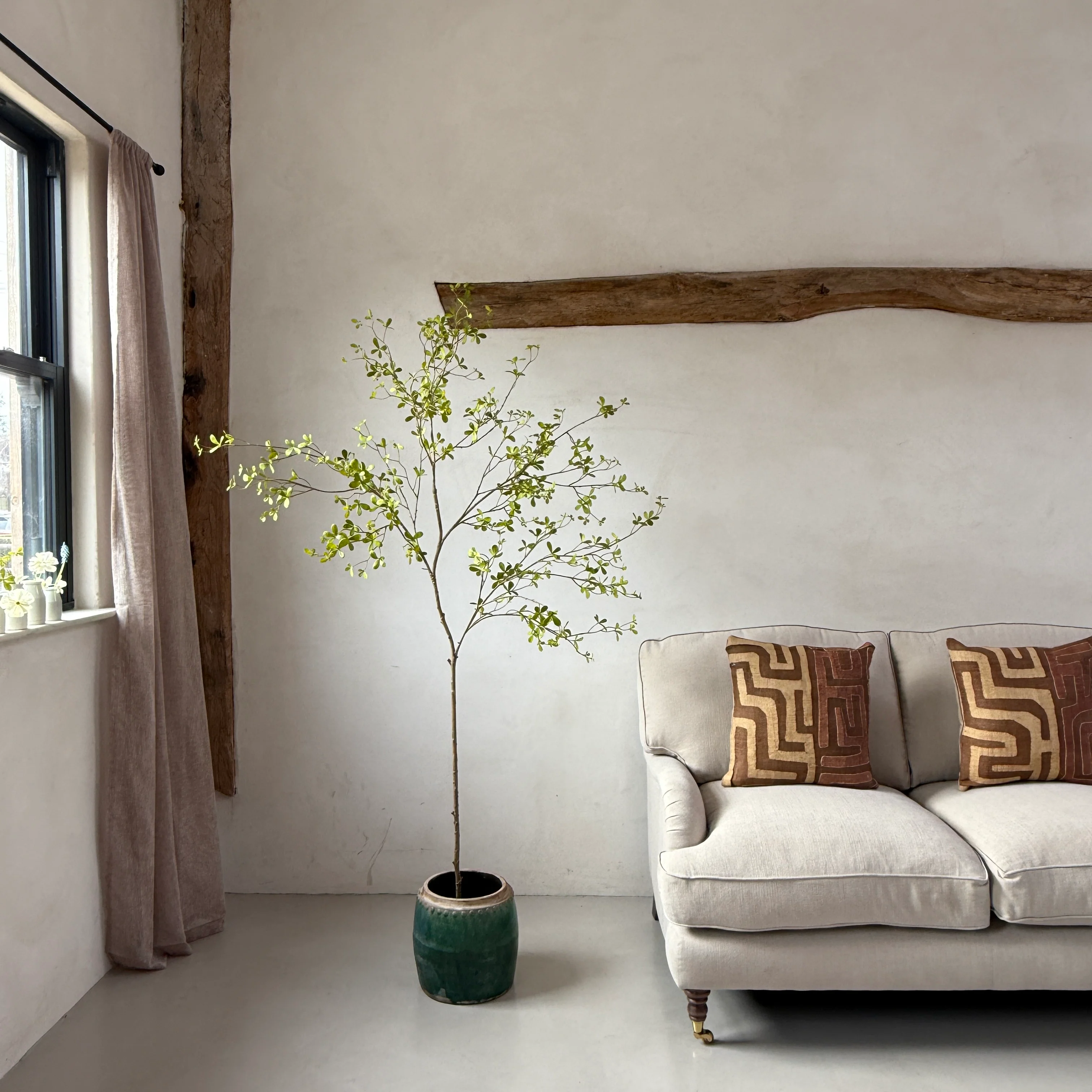 Faux potted Bucida Black Olive Tree 220cm - Image 5