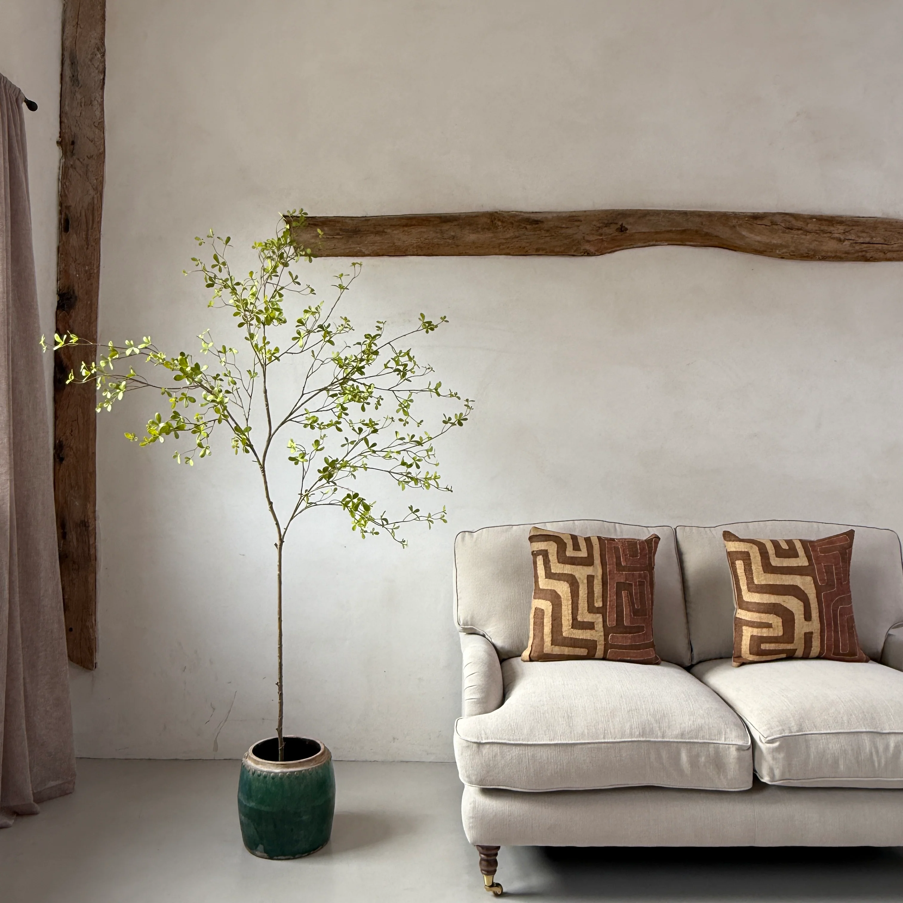 Faux potted Bucida Black Olive Tree 220cm - Image 6