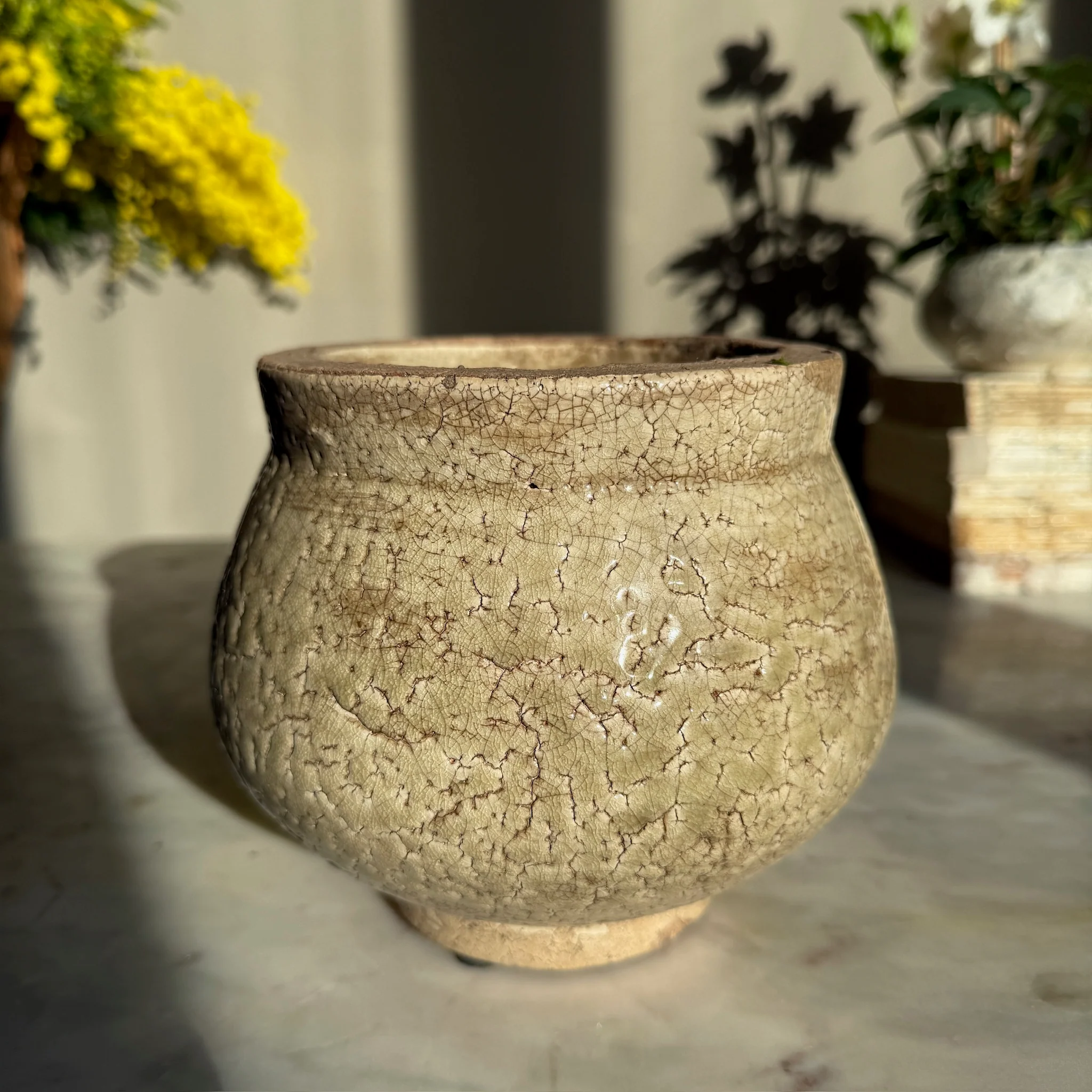 Green Crackle Glaze Pot | Vivian - Image 3