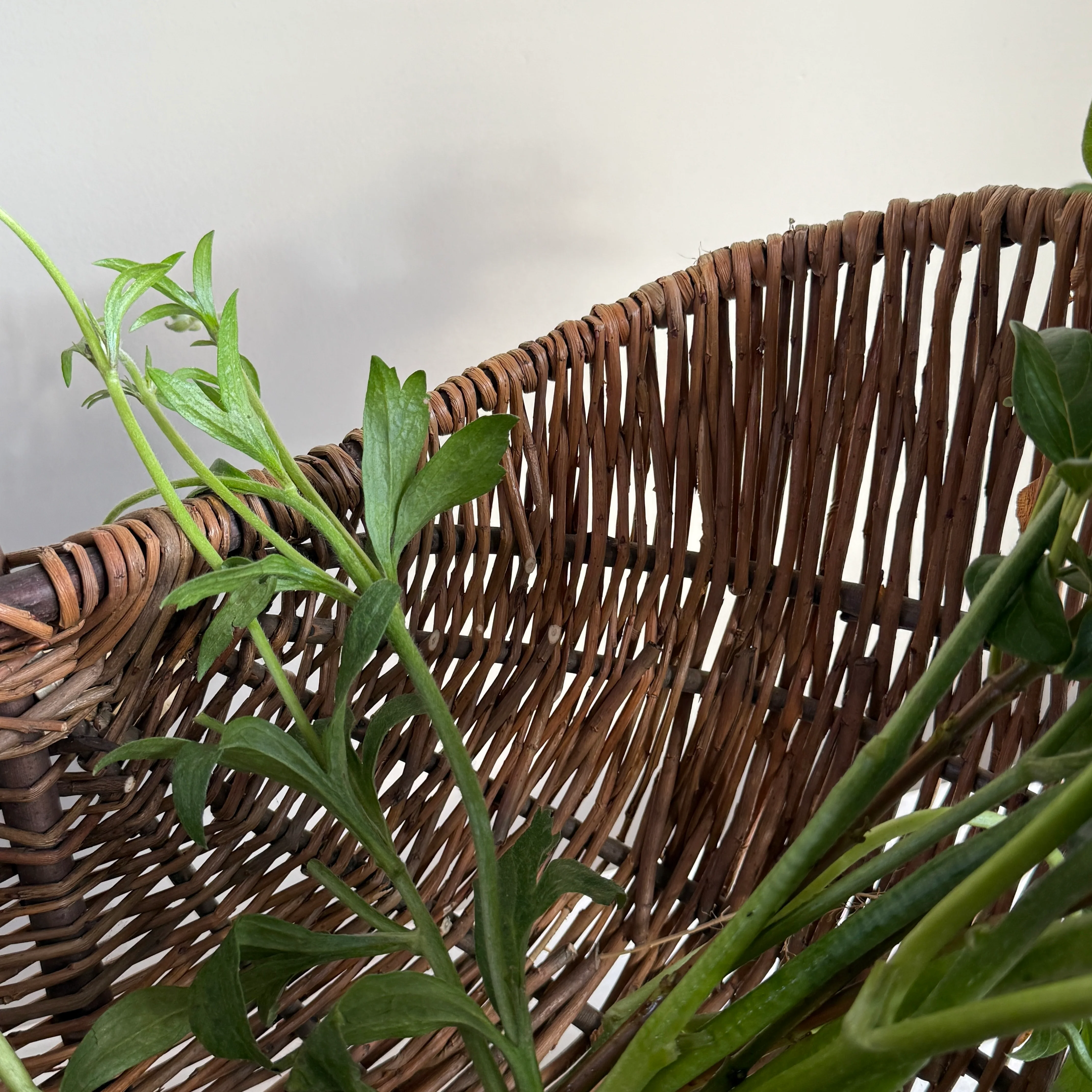 Hand woven willow trug | Katrina - Image 12