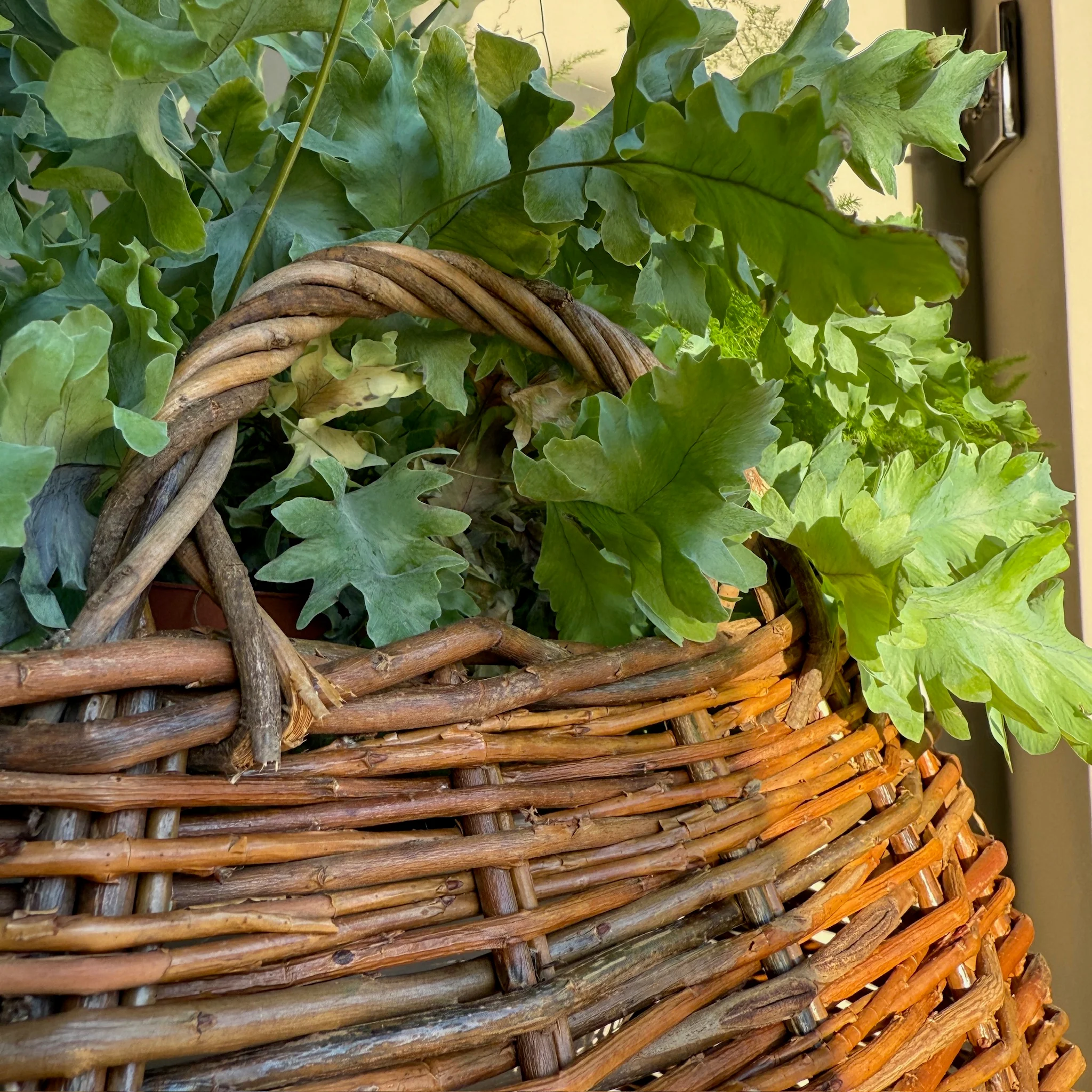 Handwoven Willow Basket | Cecily - Image 4