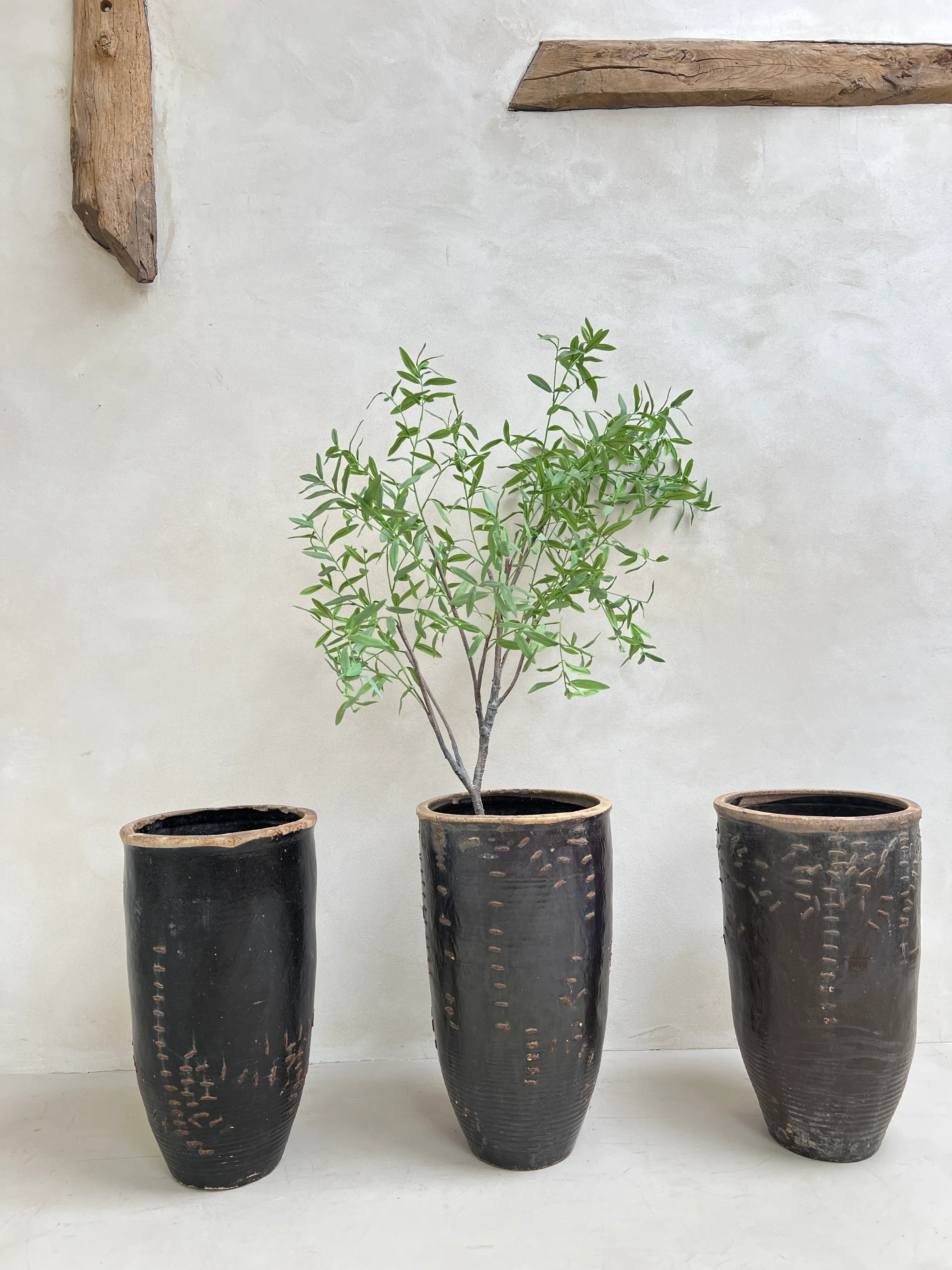 Large antique Shanxi preserve pot planter - Image 4