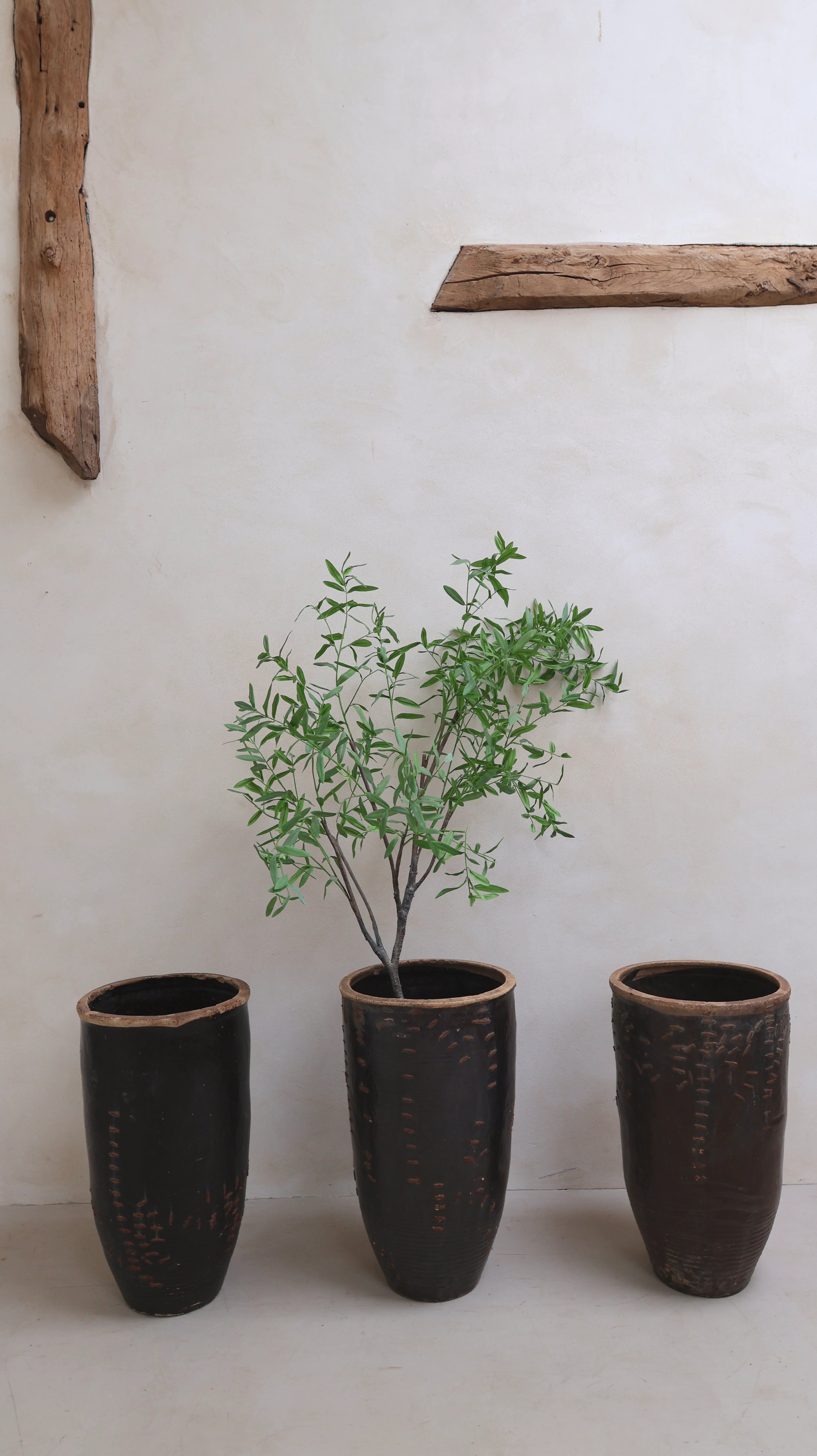 Large antique Shanxi preserve pot planter - Image 7