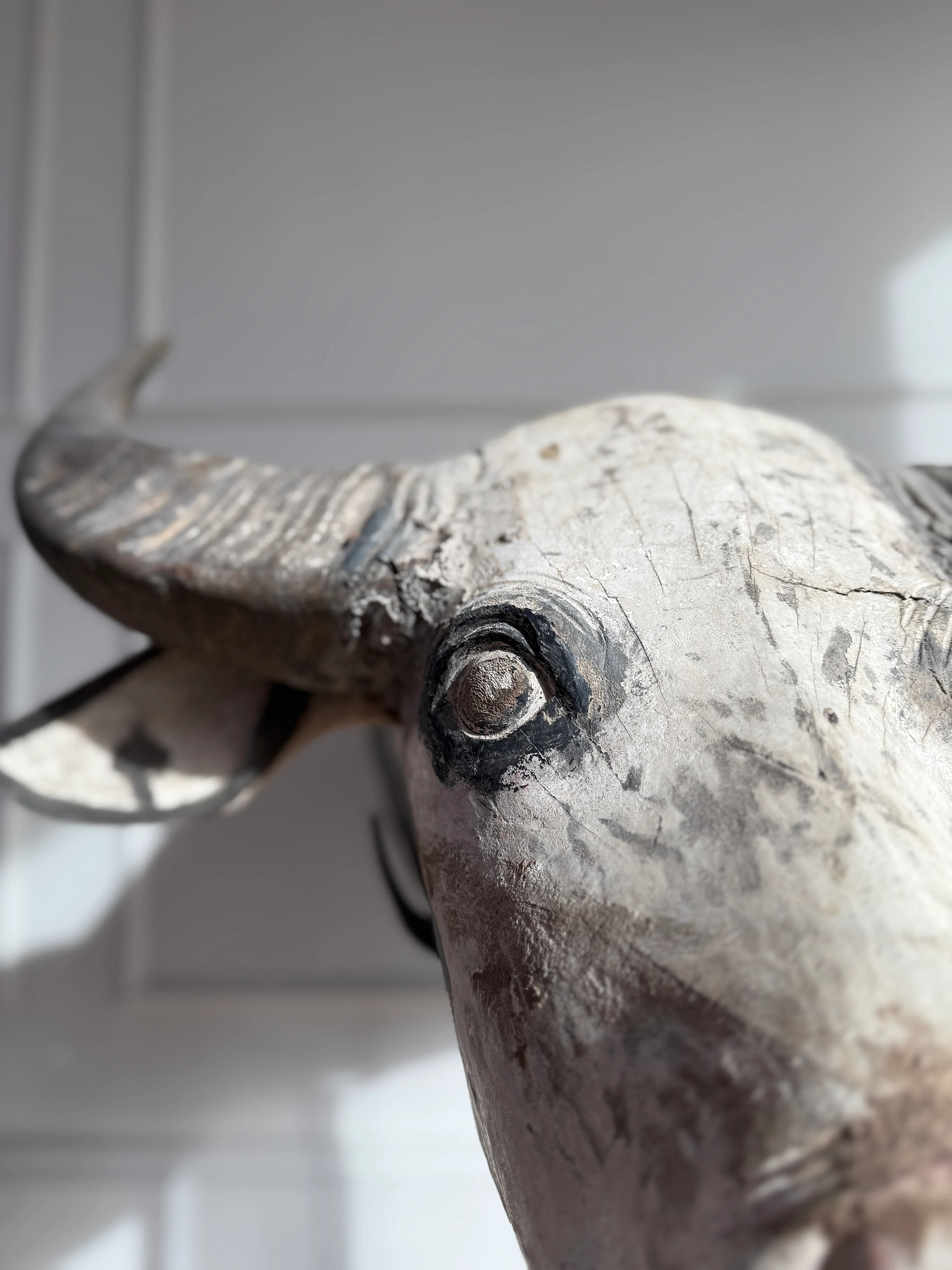Large Antique Water Buffalo Head Sculpture - Image 7