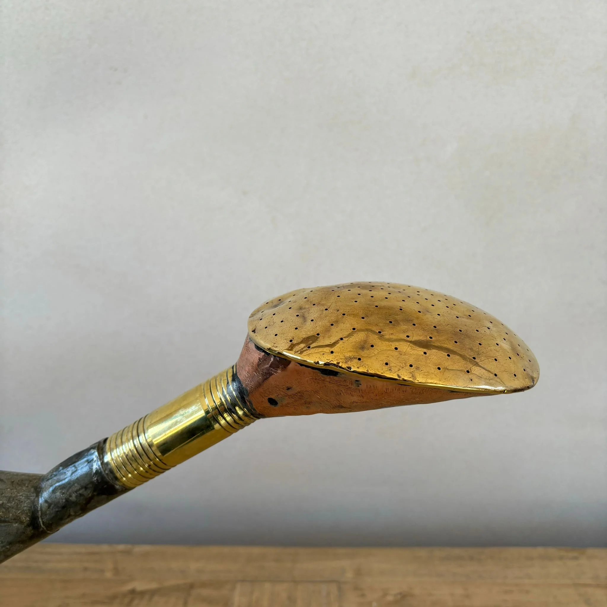 Long Reach Watering Can - Image 4