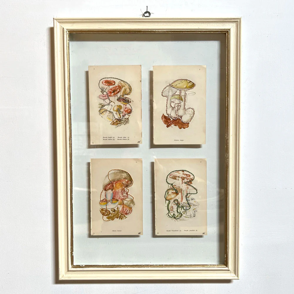 Mixed Botanical bookplate Art - Image 10