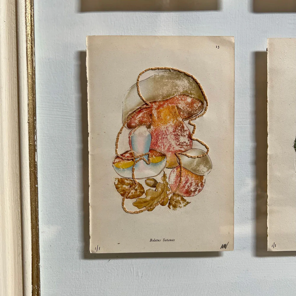 Mixed Botanical bookplate Art - Image 6