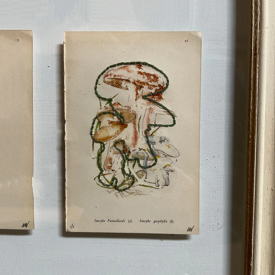Mixed Botanical bookplate Art - Image 7