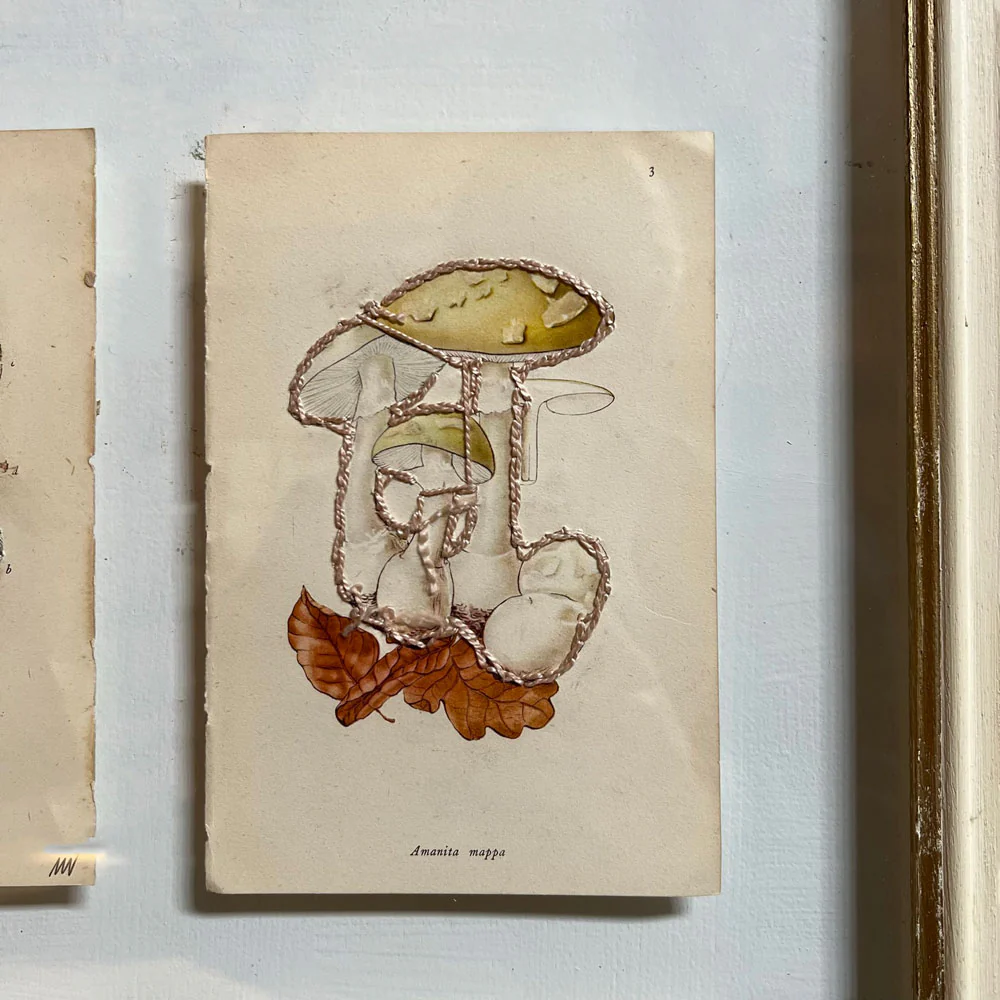 Mixed Botanical bookplate Art - Image 8