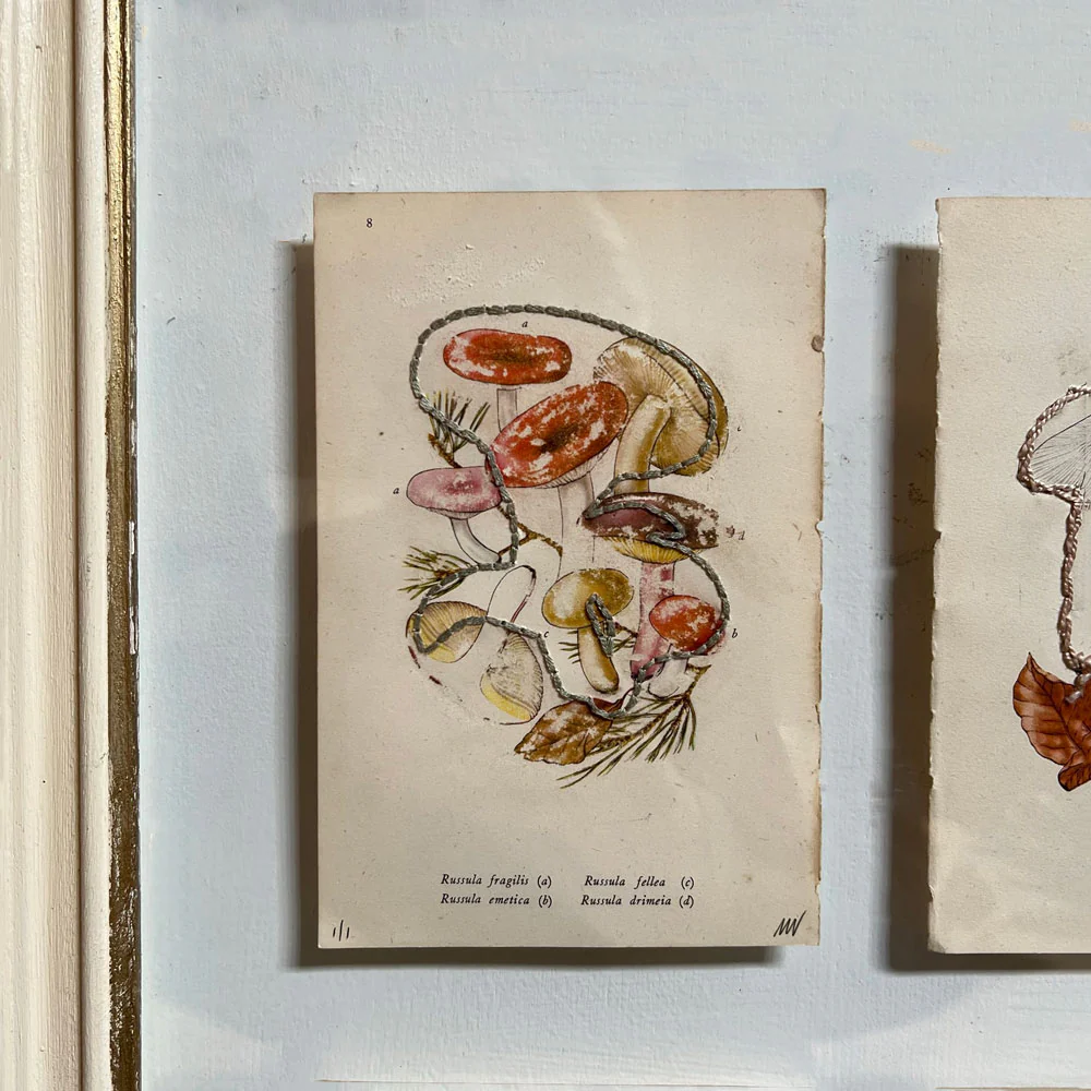 Mixed Botanical bookplate Art - Image 9