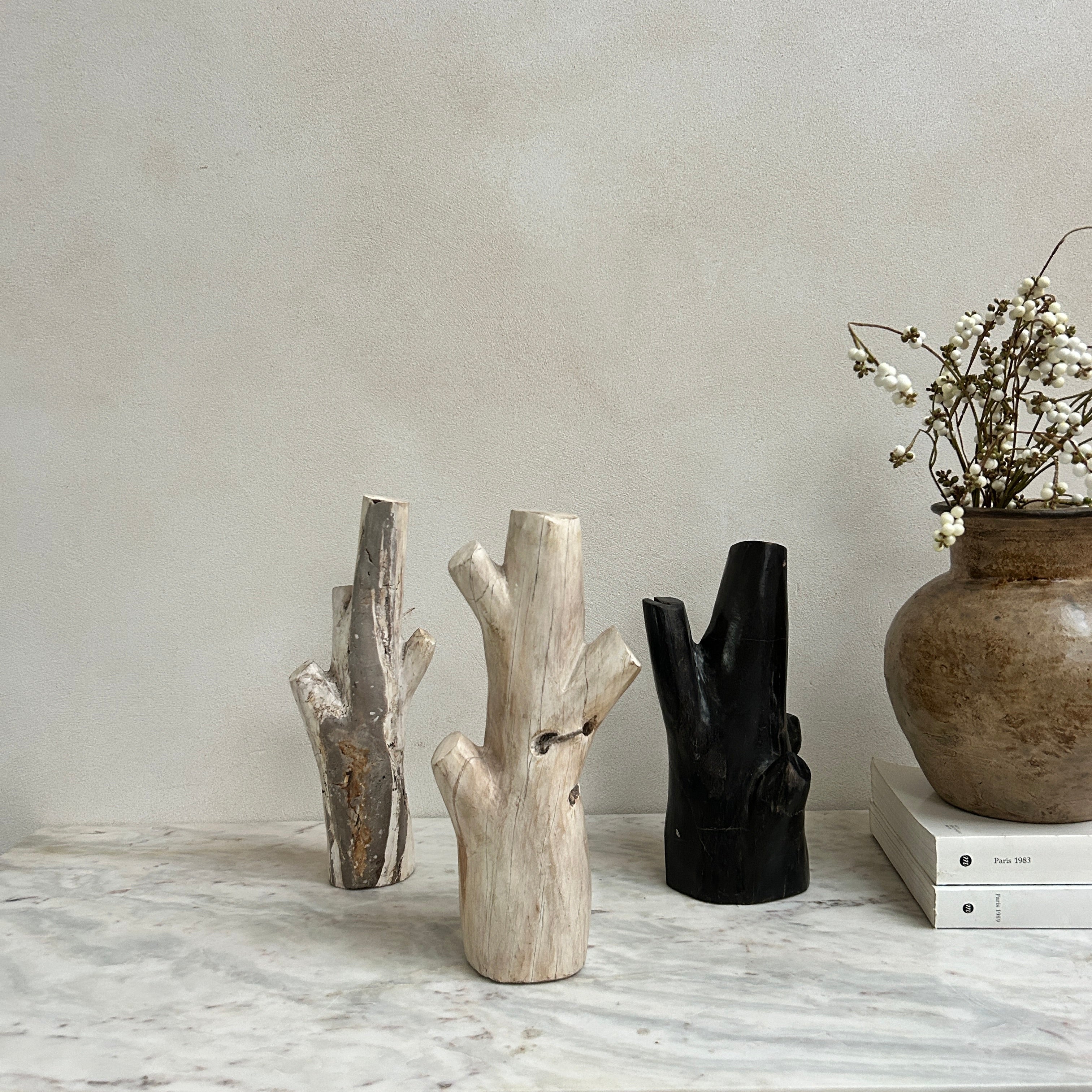 Petrified Wood Branch Sculpture | Sari