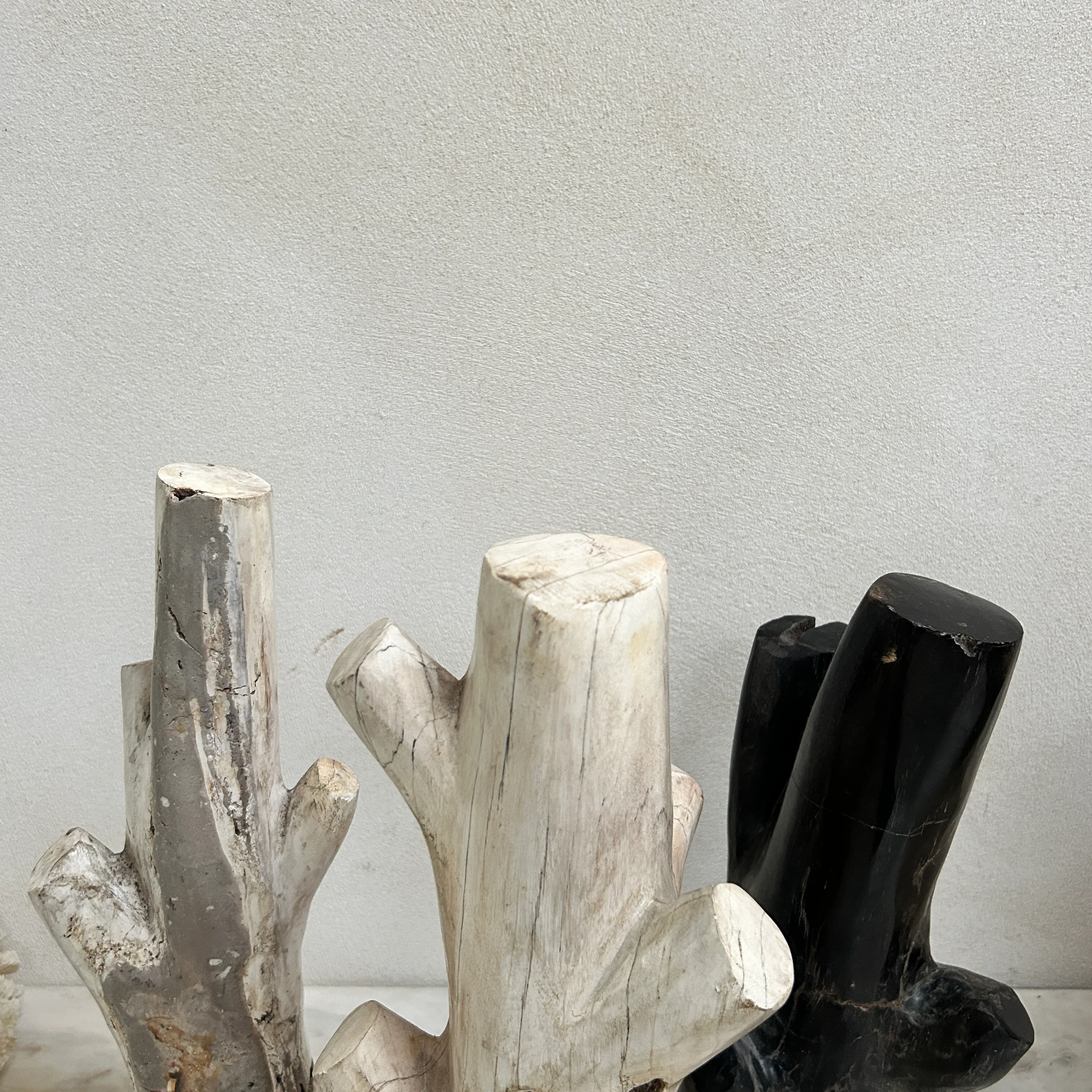 Petrified Wood Branch Sculpture | Sari - Image 3