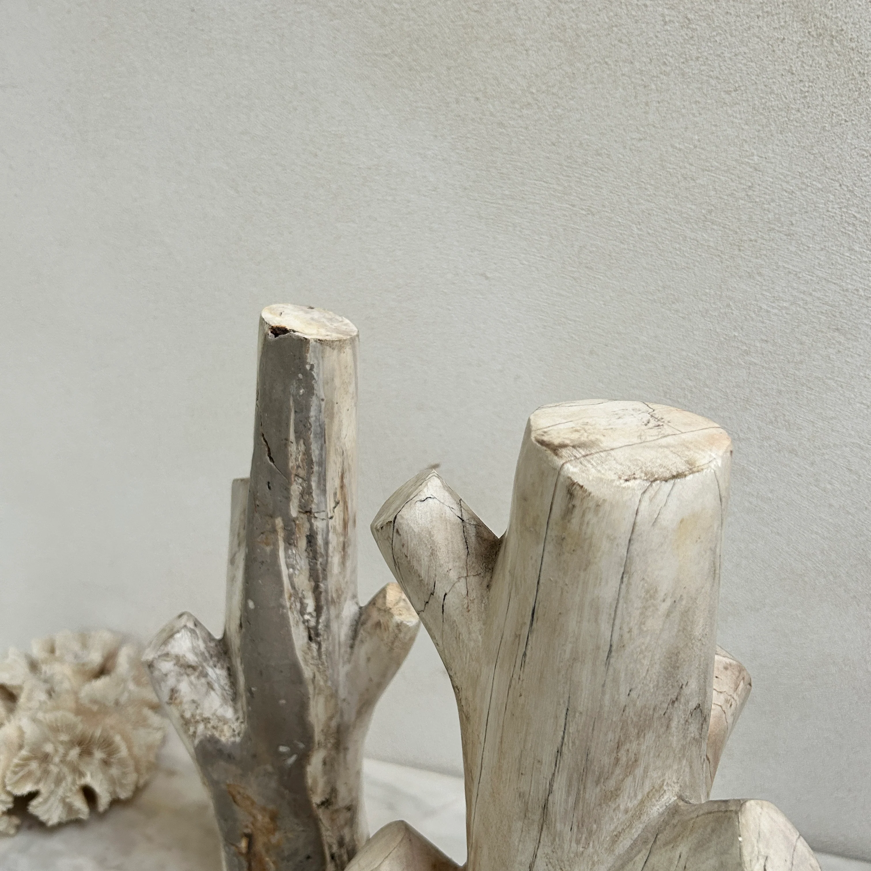 Petrified Wood Branch Sculpture | Sari - Image 4