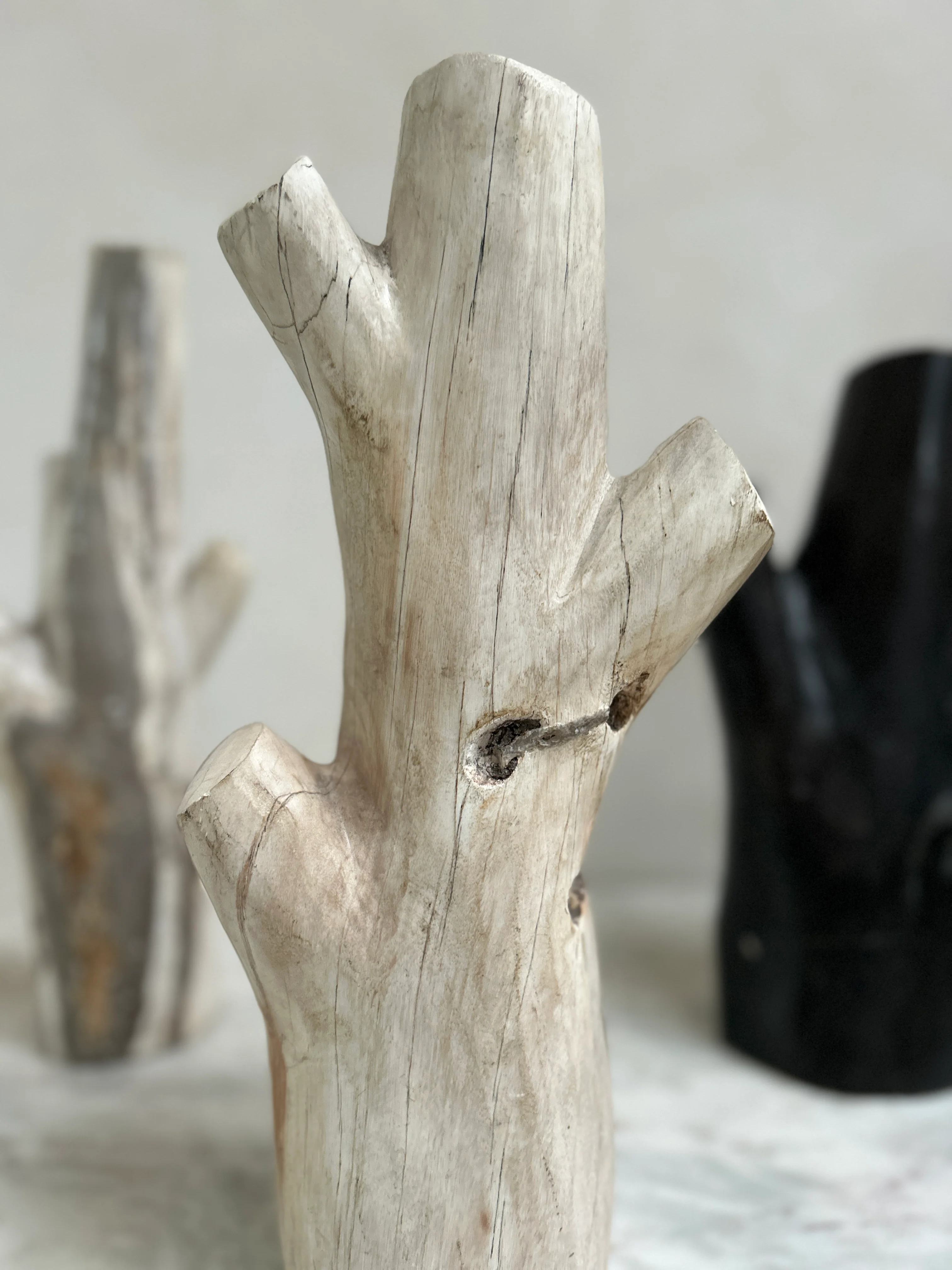 Petrified Wood Branch Sculpture | Sari - Image 5
