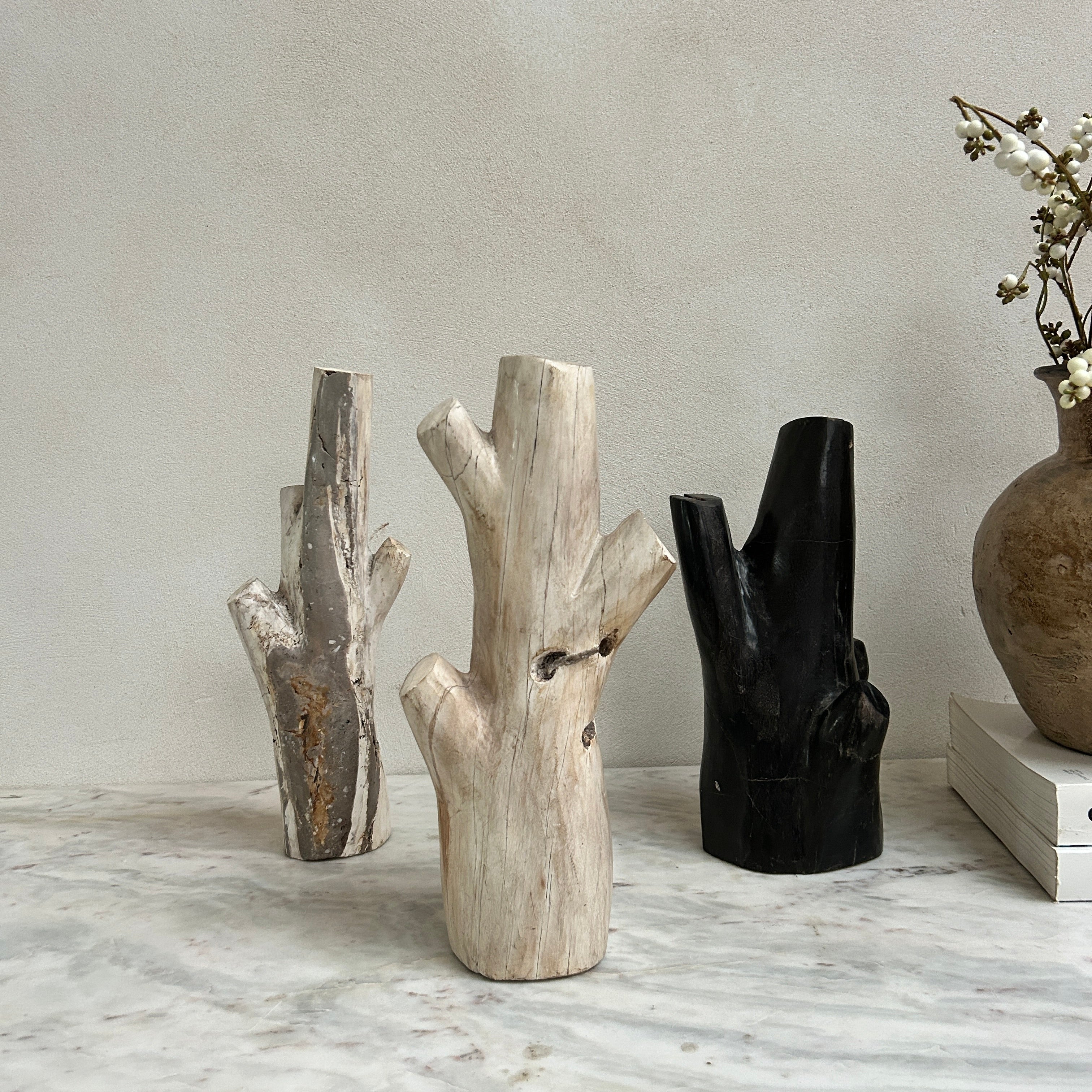 Petrified Wood Branch Sculpture | Sari - Image 6