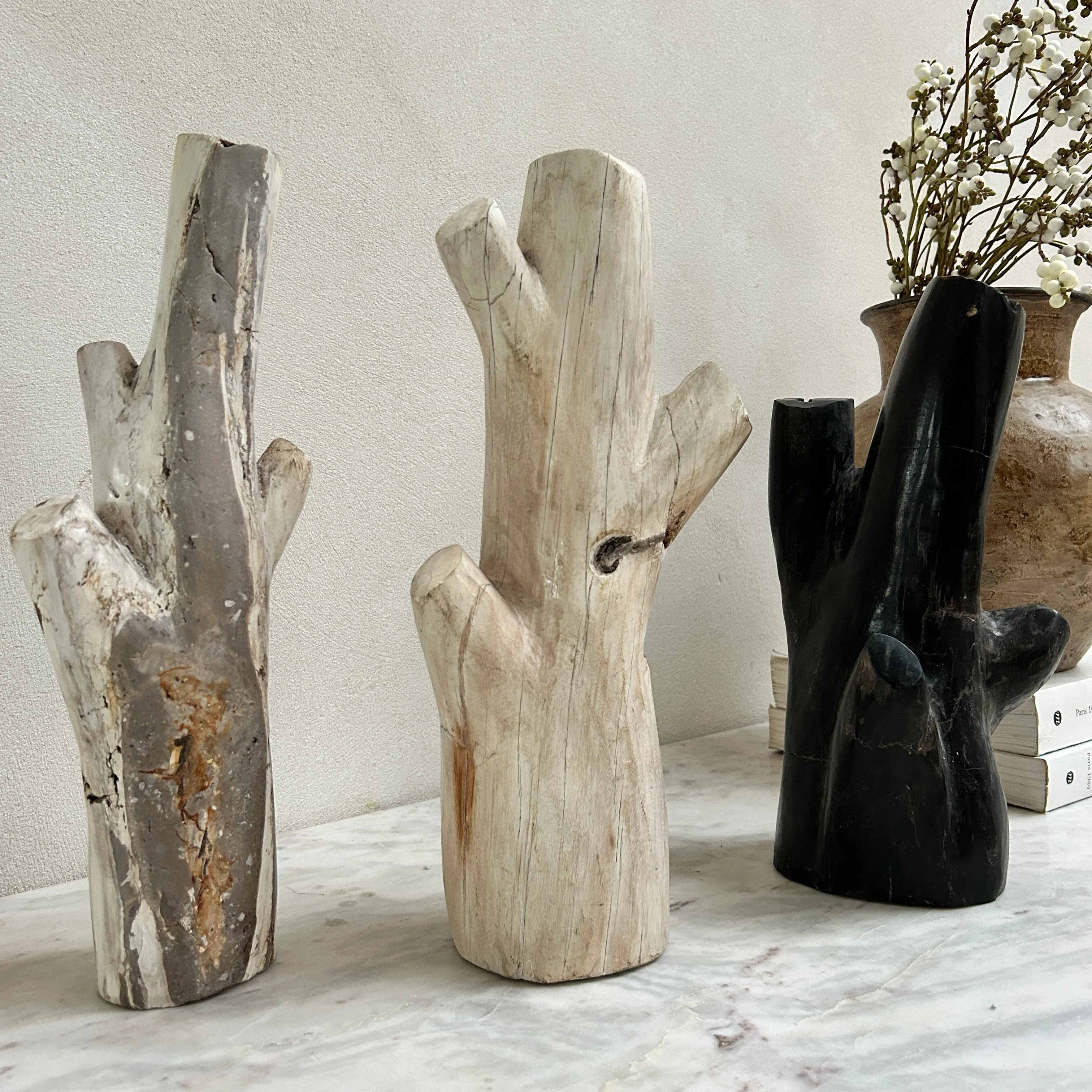 Petrified Wood Branch Sculpture | Sari - Image 7