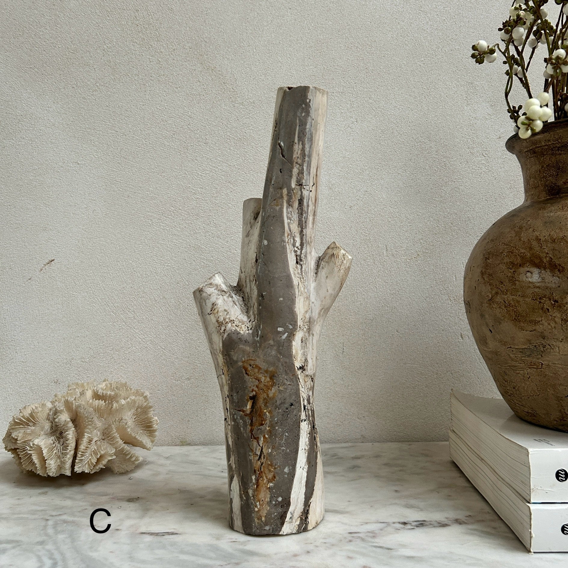 Petrified Wood Branch Sculpture | Sari - Image 9
