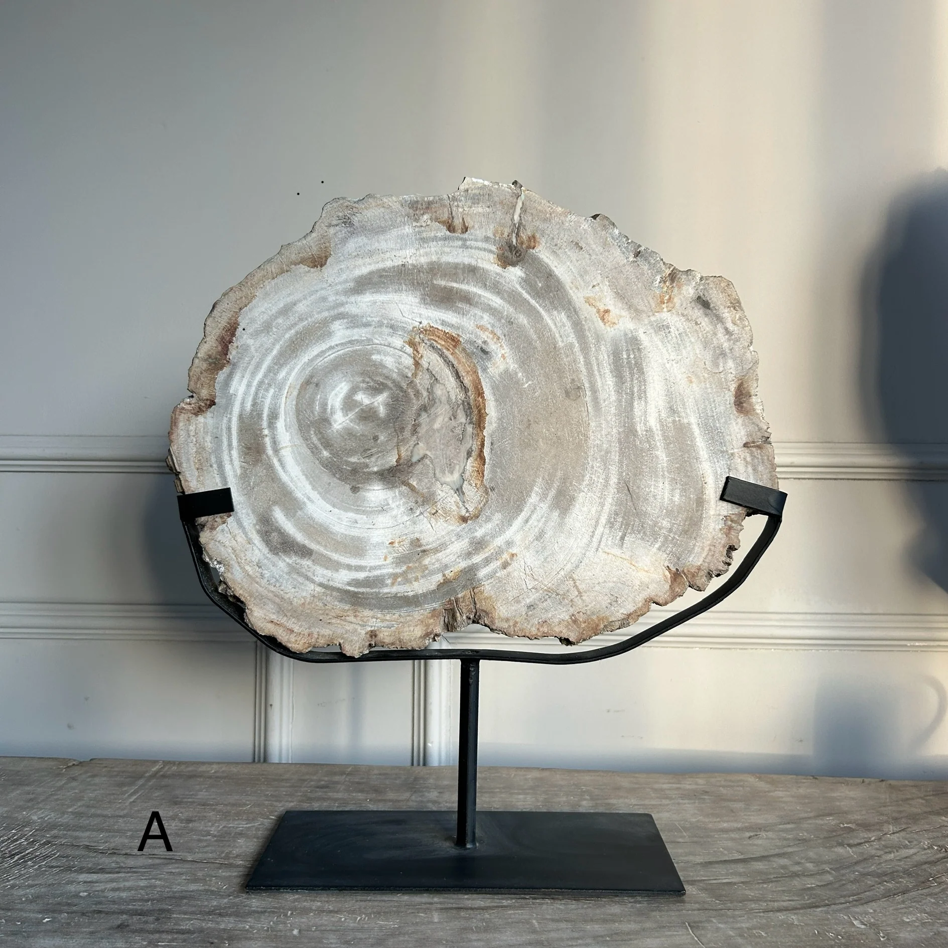 Petrified Wood on Stand - Image 3