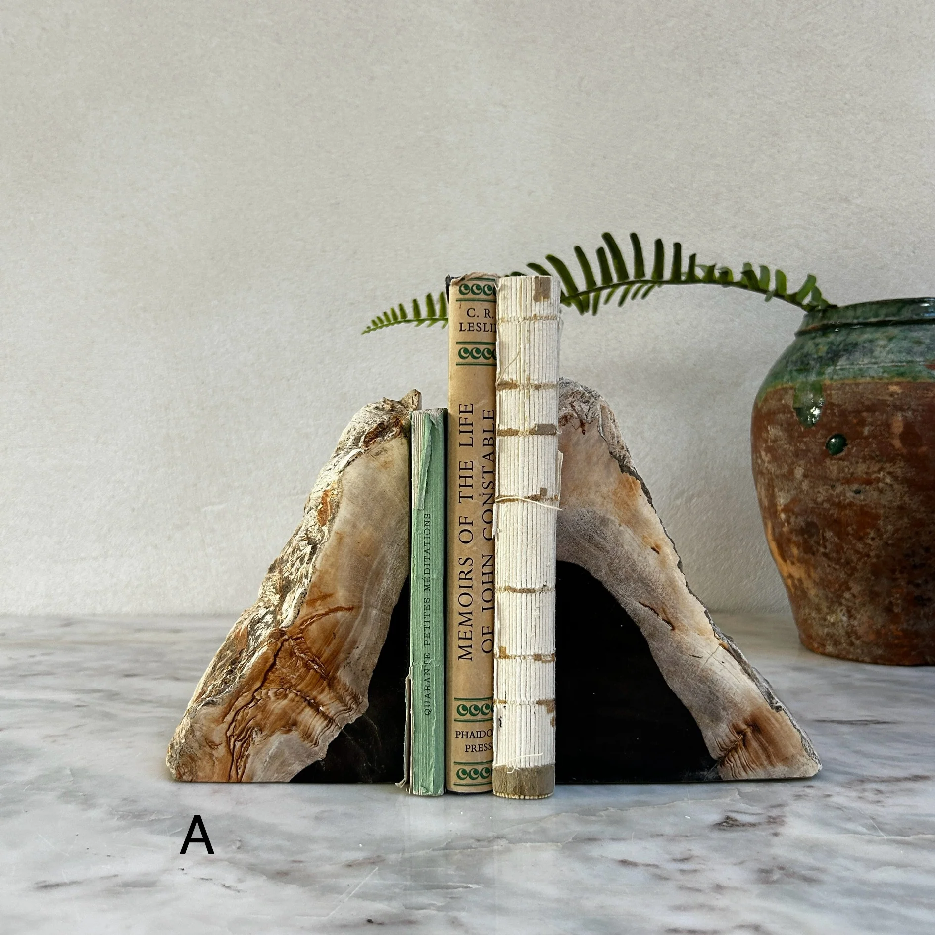 Petrified Wood Pair of Bookends - Image 2