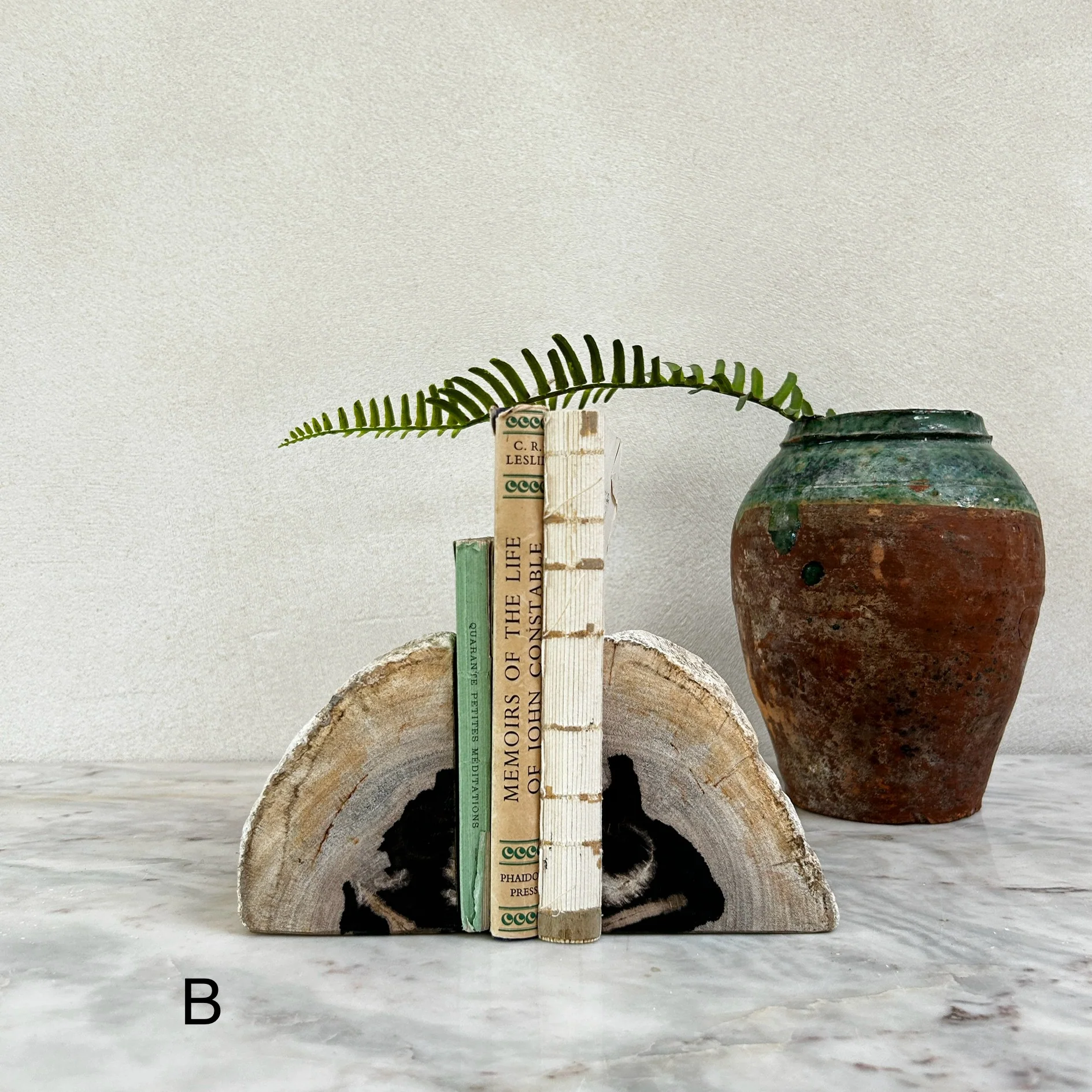 Petrified Wood Pair of Bookends - Image 3