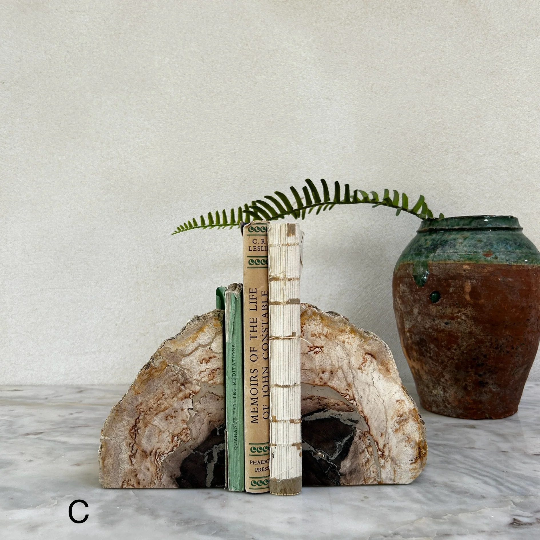 Petrified Wood Pair of Bookends - Image 4