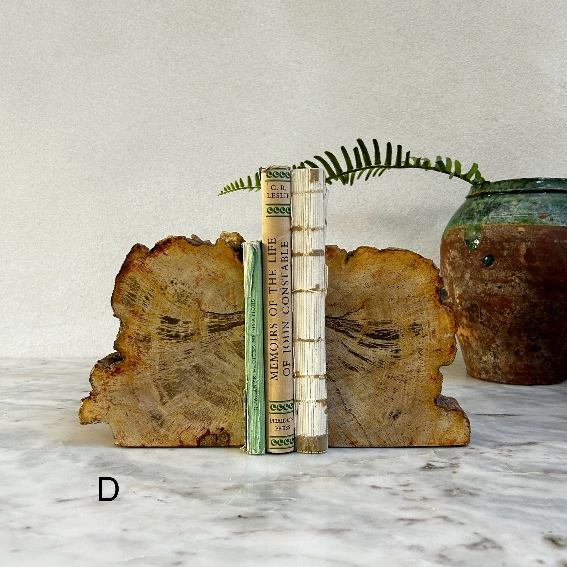 Petrified Wood Pair of Bookends - Image 5