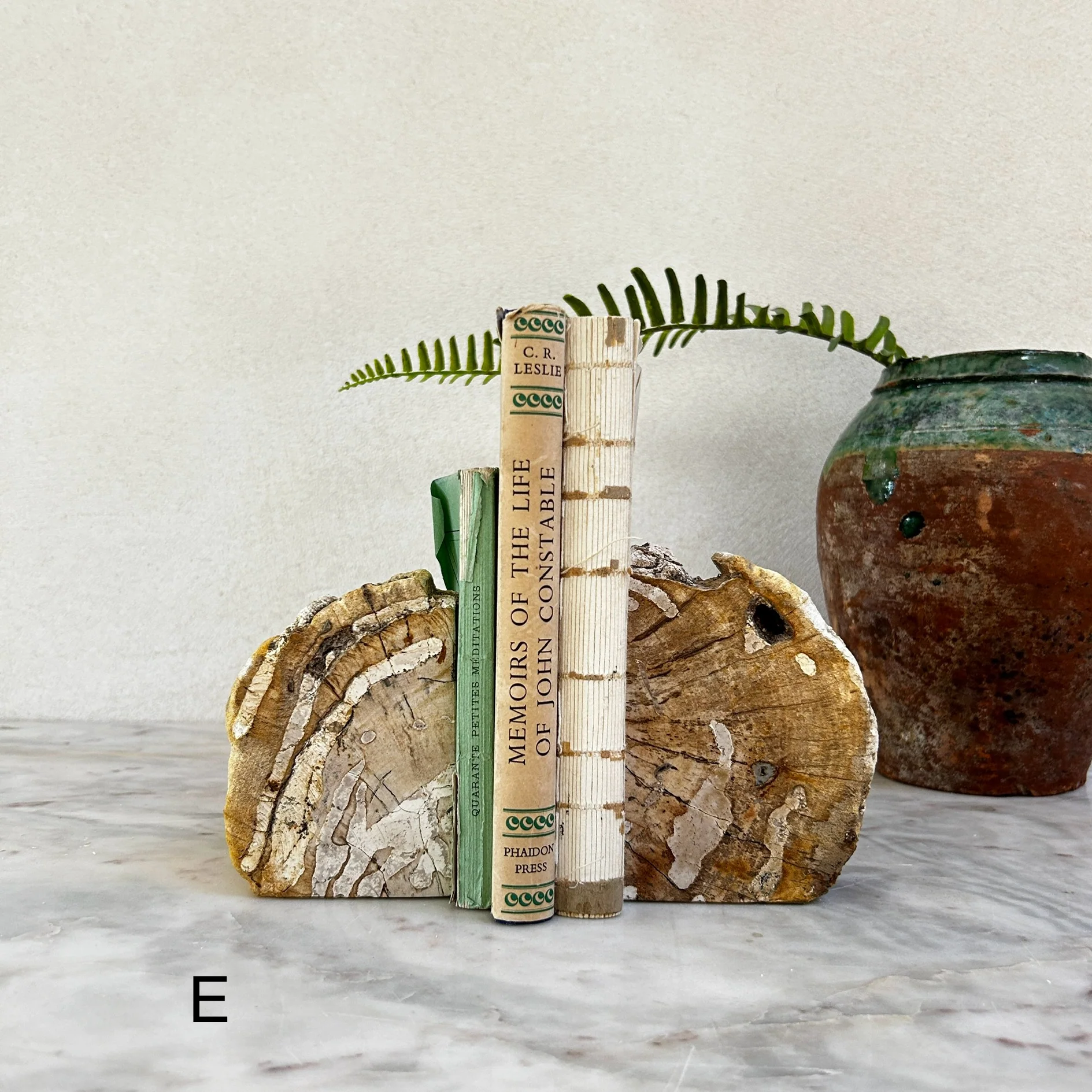 Petrified Wood Pair of Bookends - Image 6