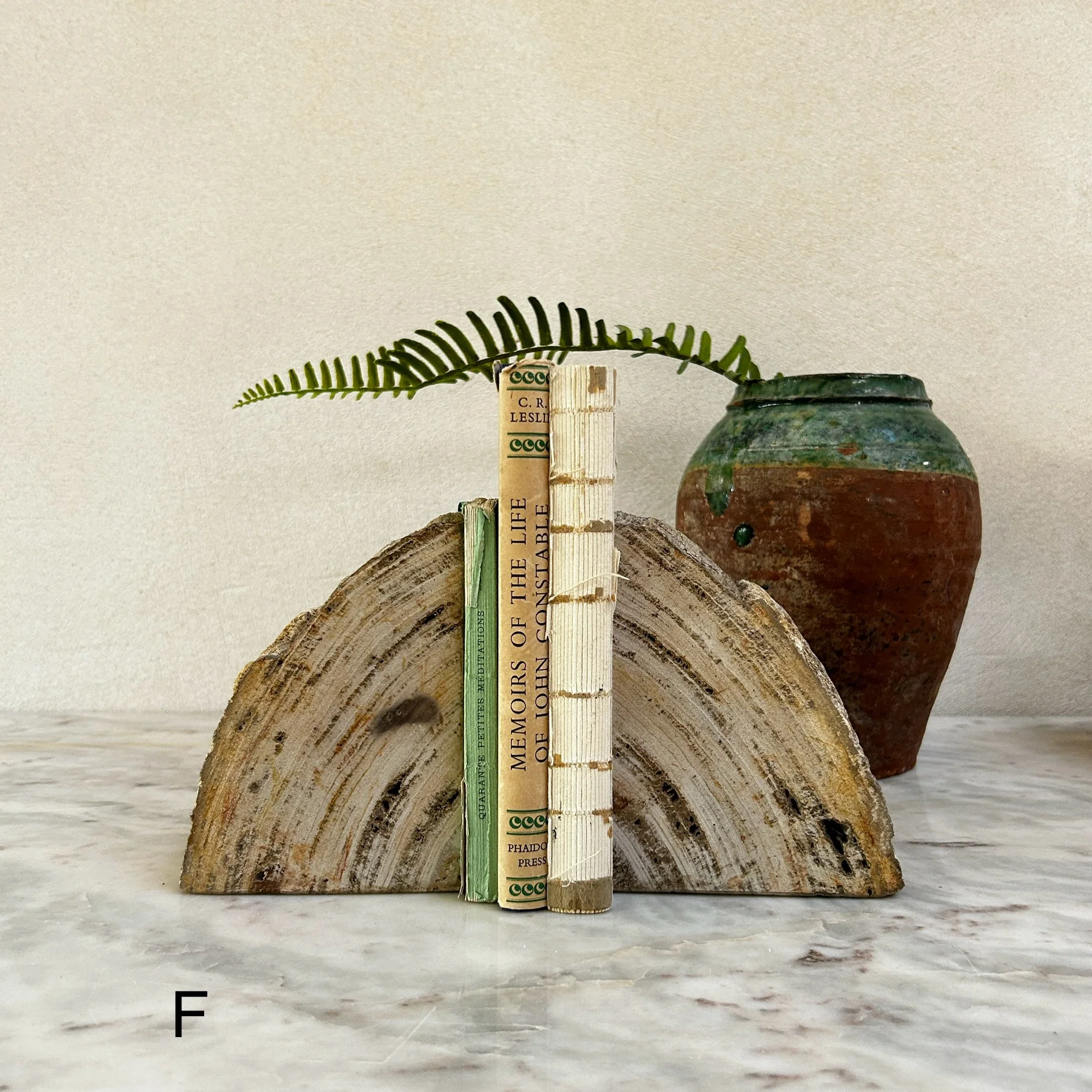 Petrified Wood Pair of Bookends - Image 7