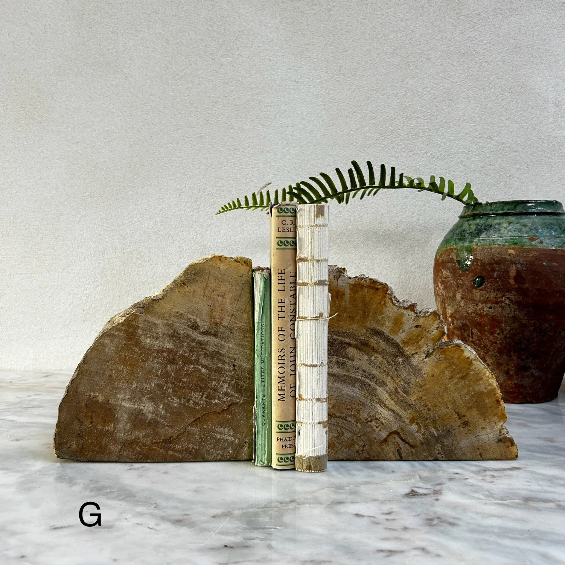 Petrified Wood Pair of Bookends - Image 8