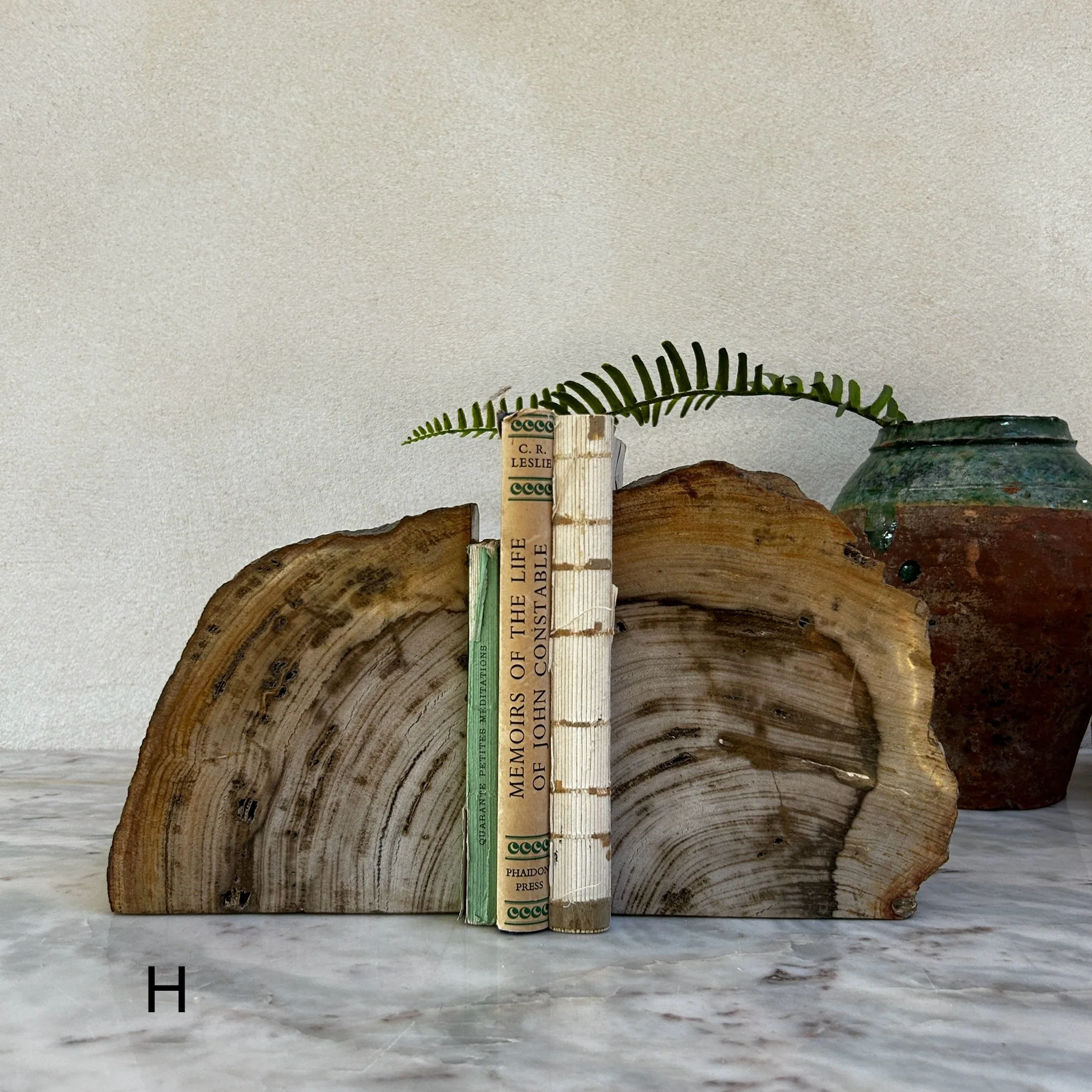 Petrified Wood Pair of Bookends - Image 9