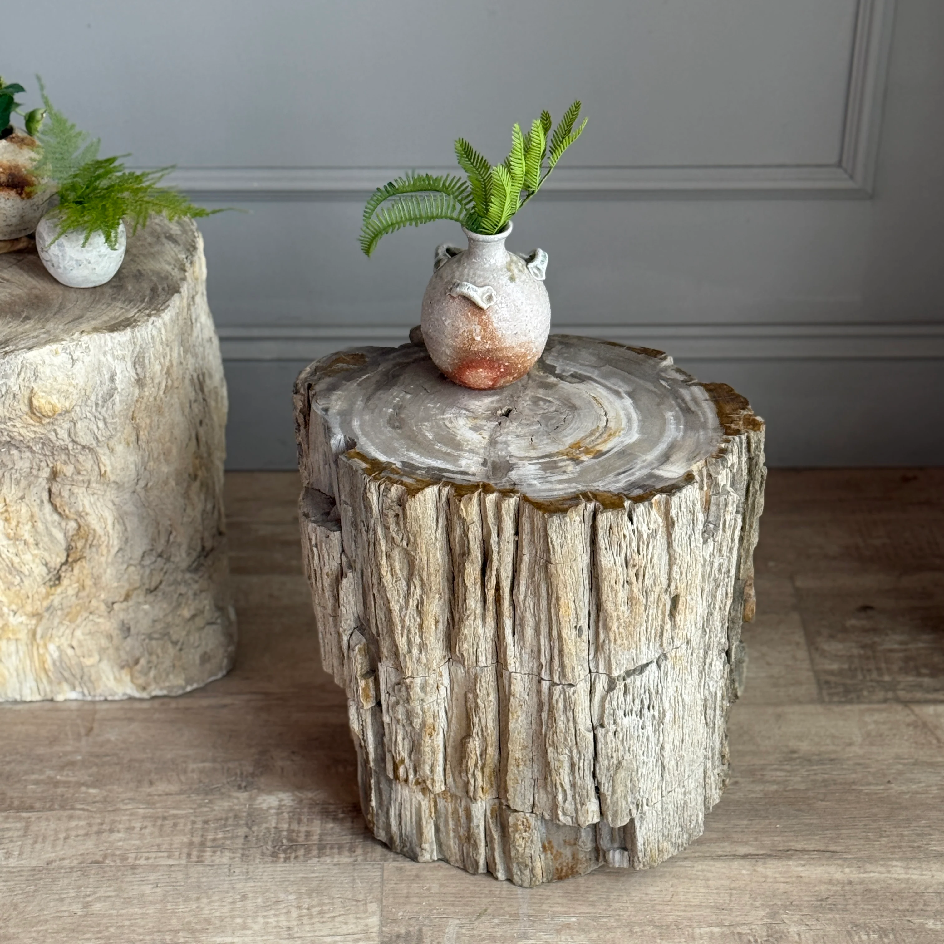 Petrified Wood Side Tables - Image 6