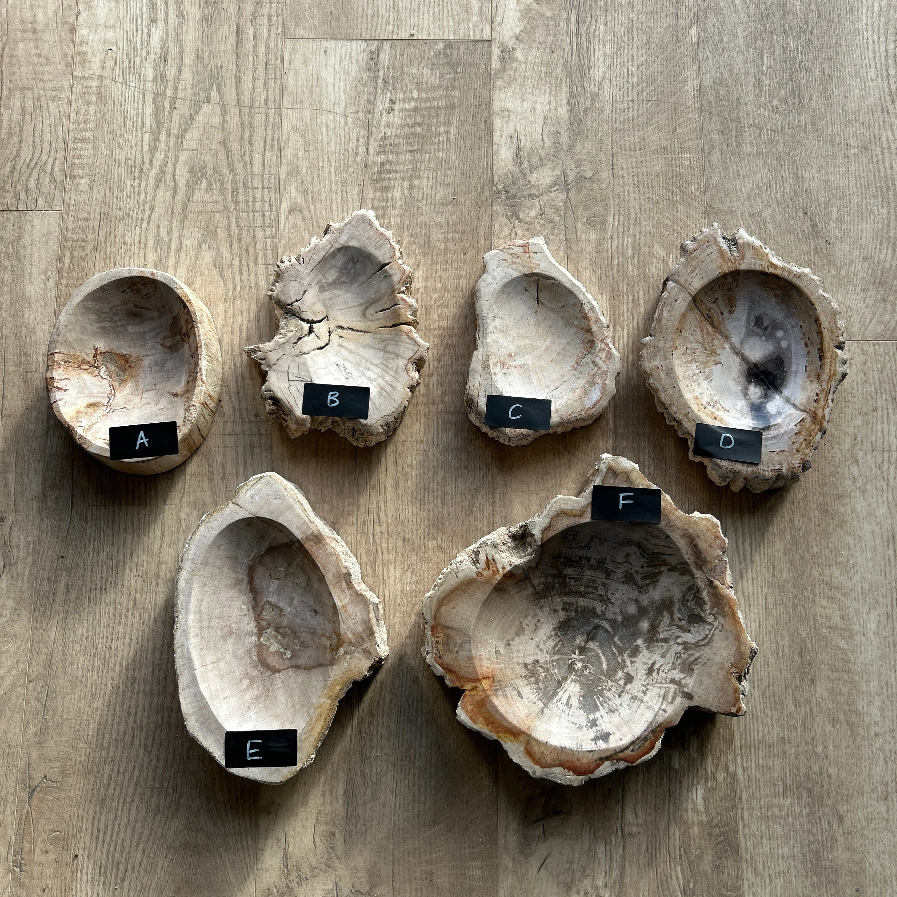 Petrified Wood stone Bowls - Image 8