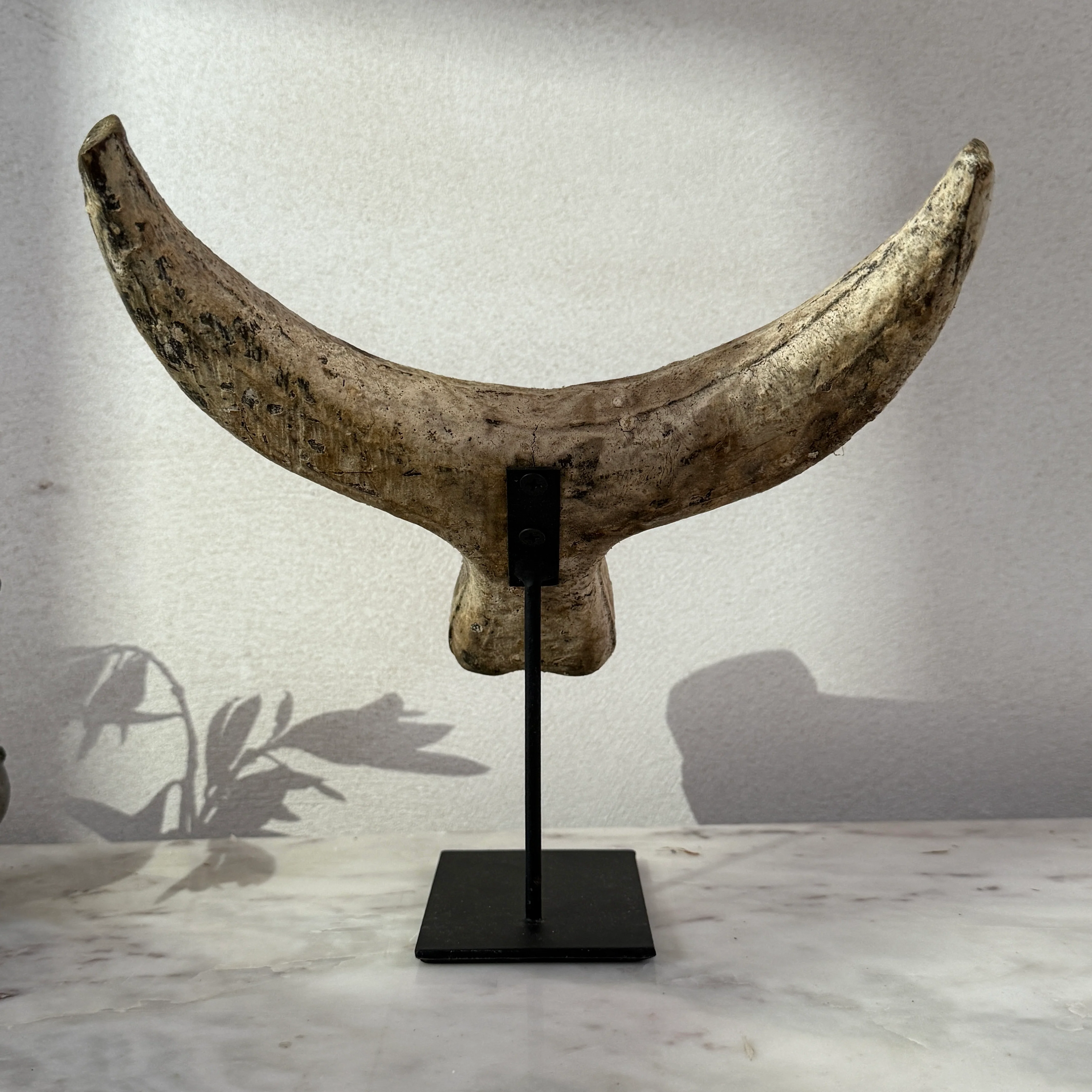 Primitive wooden cow horn sculpture - Image 6
