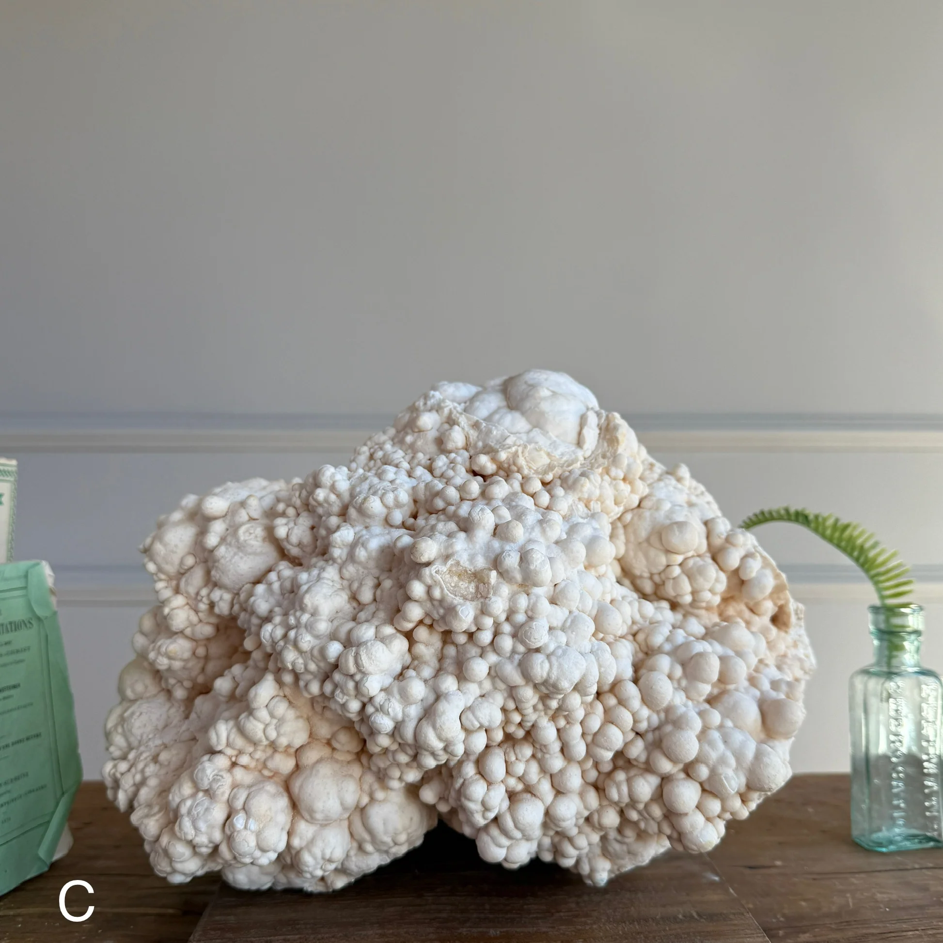 Rare Cave Stalactite Rock Formation - Image 7
