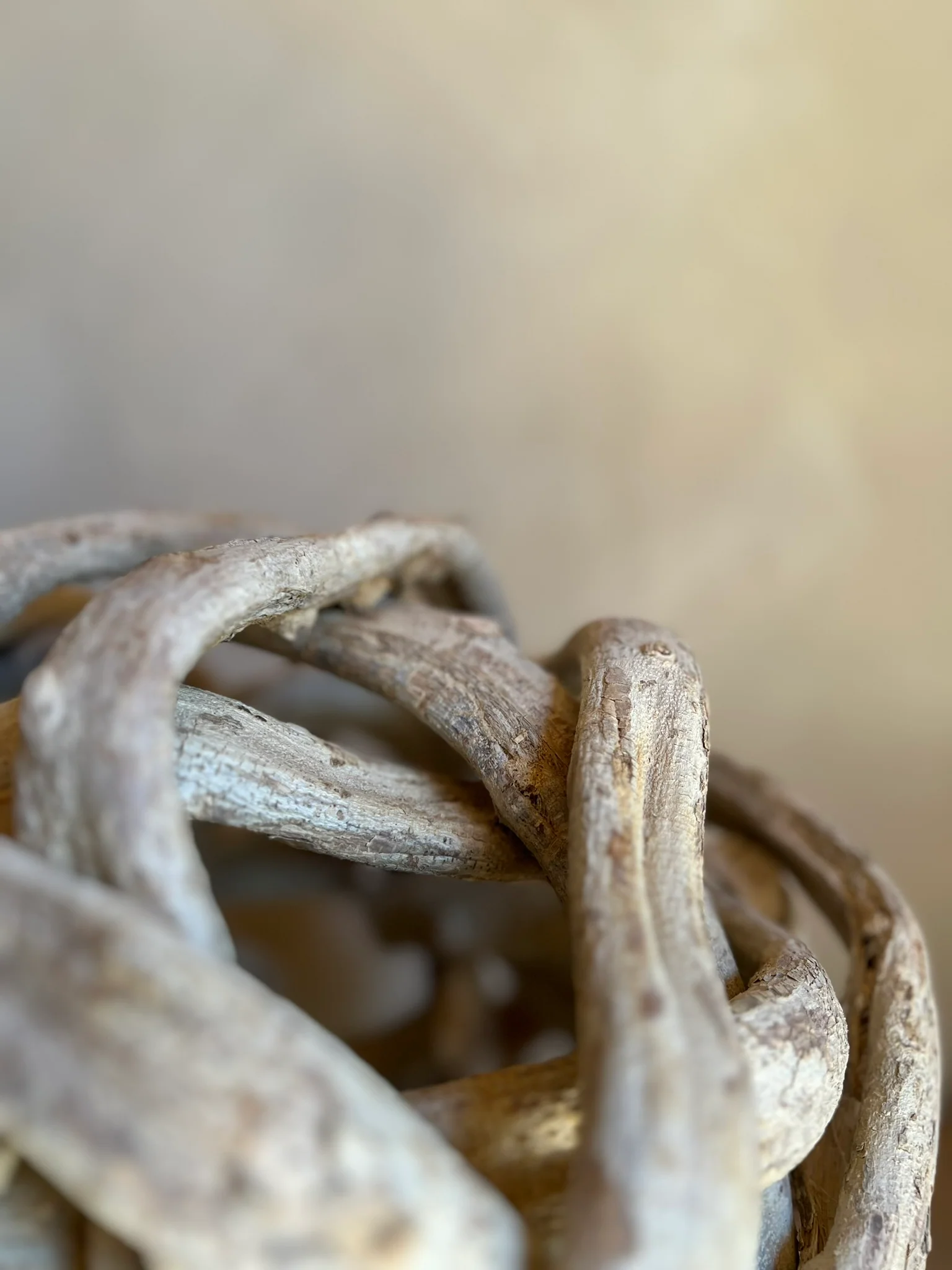 Rustic woven root ball - Image 6
