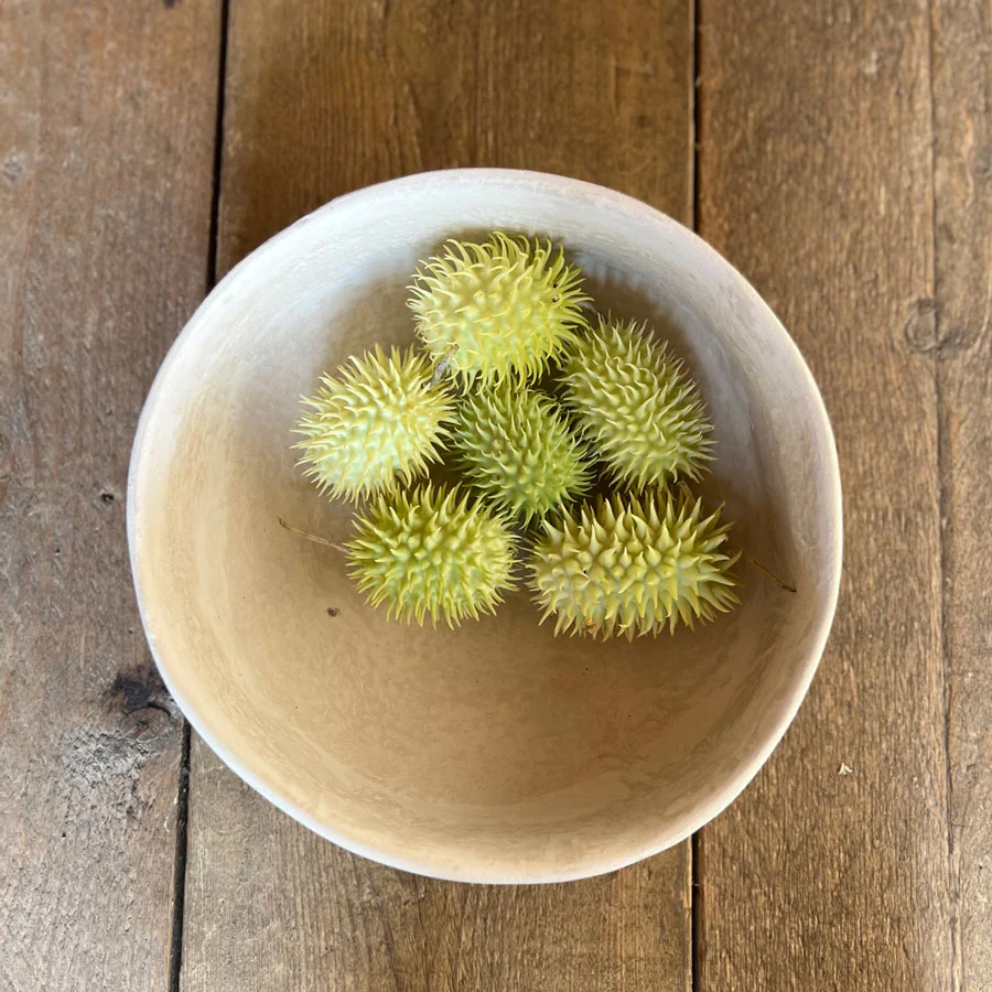 Stoneware-Effect Neutral Bowl | F - Image 3