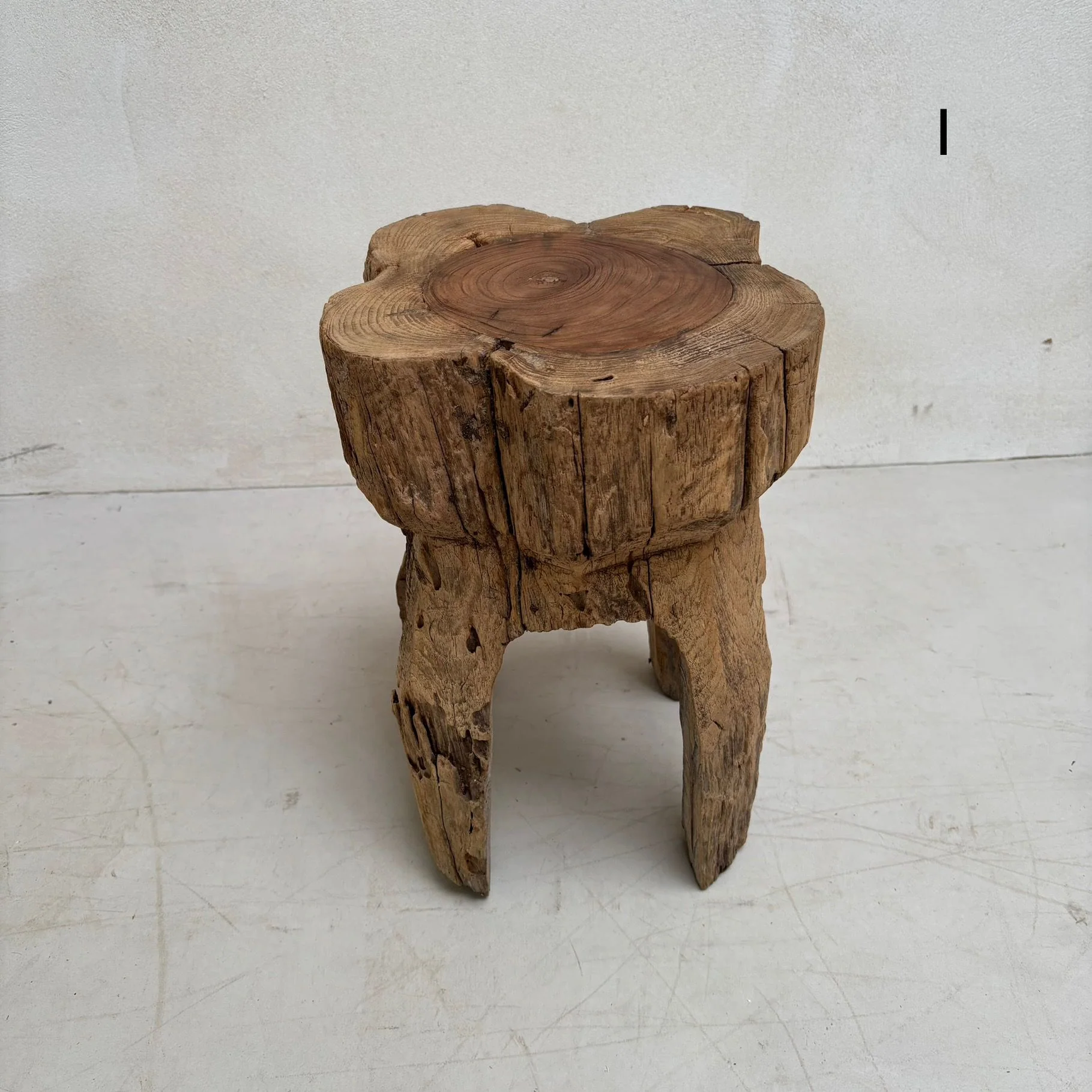 Tree Trunk Stool Side Table - Image 10
