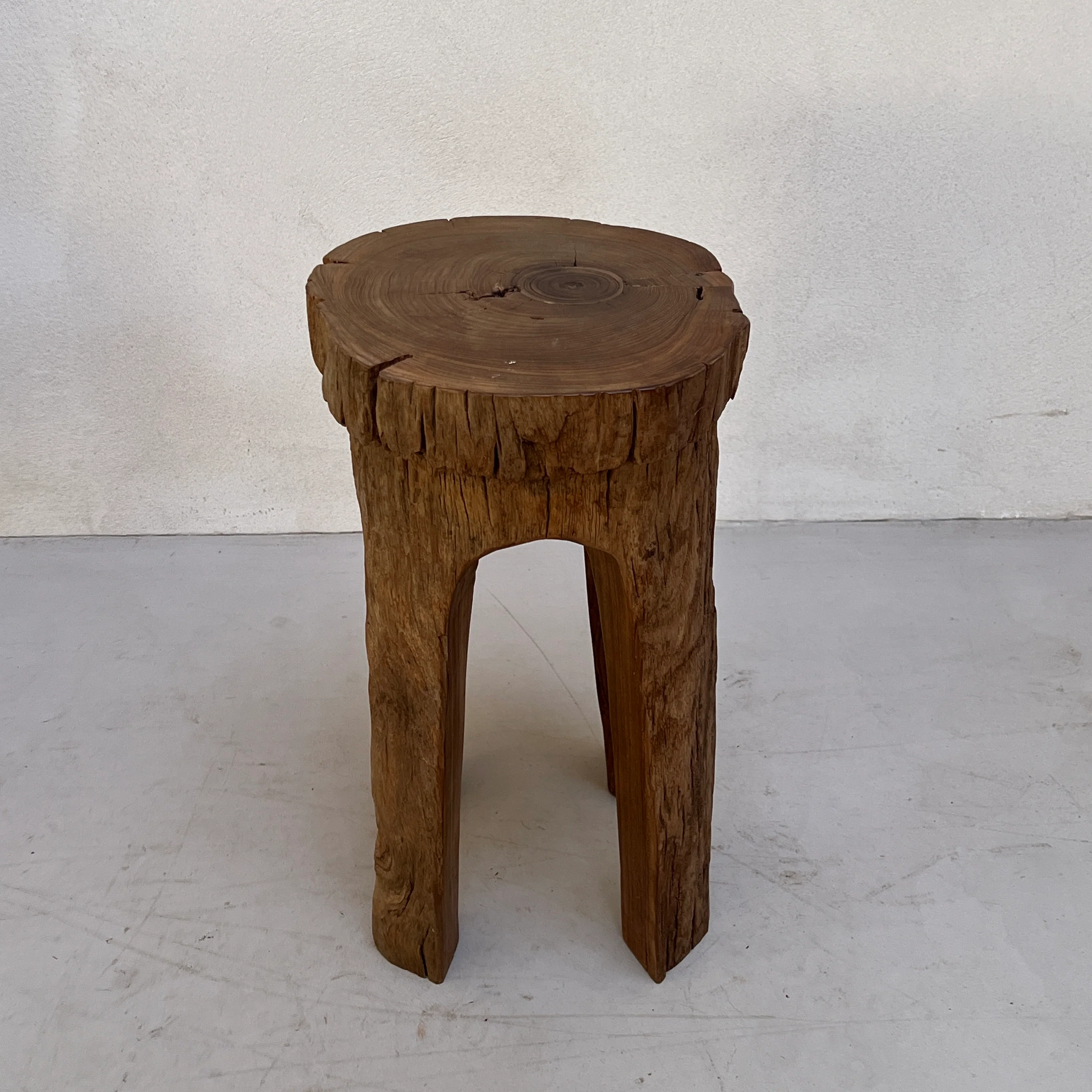 Tree Trunk Stool Side Table - Image 11