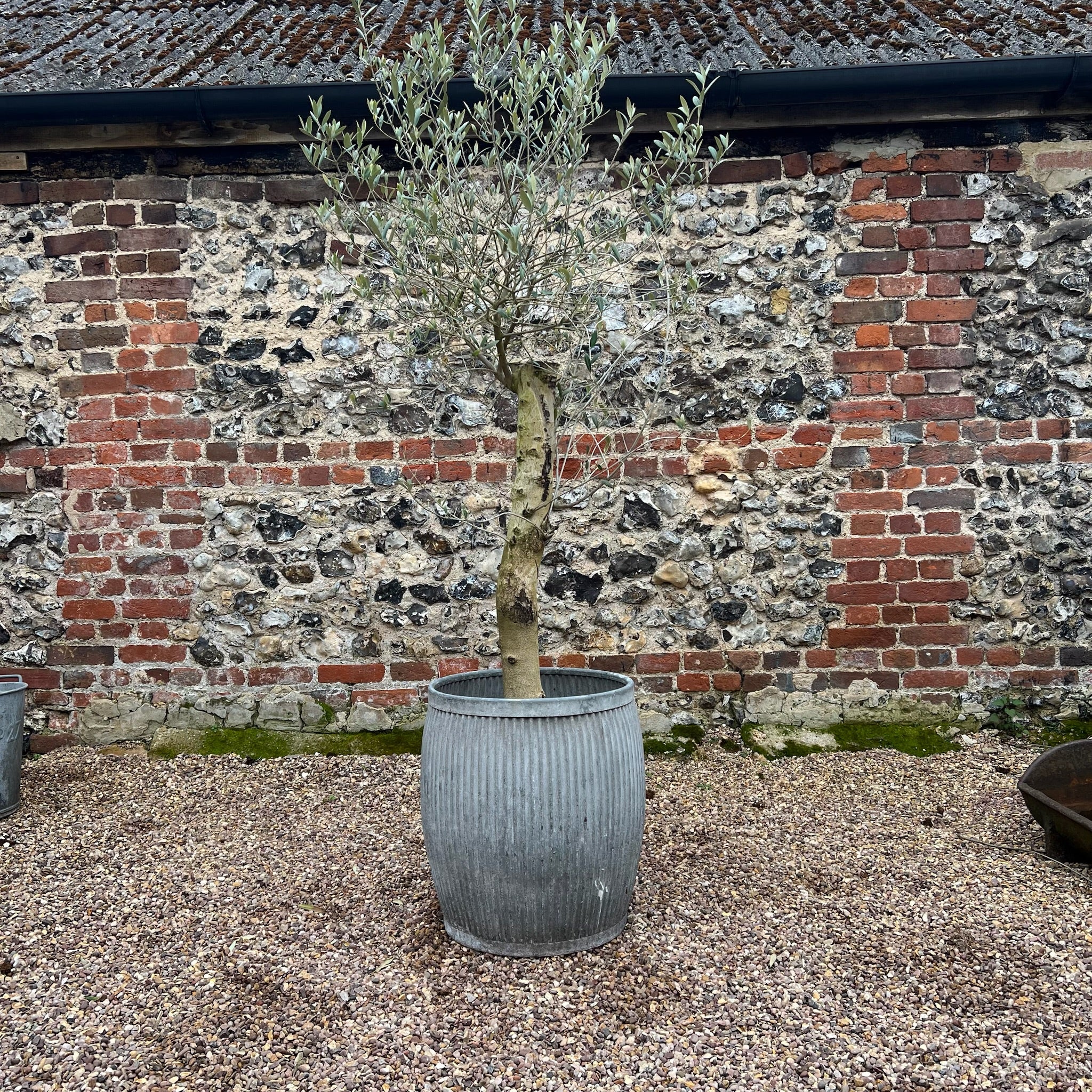 Vintage Dolly tub planter A