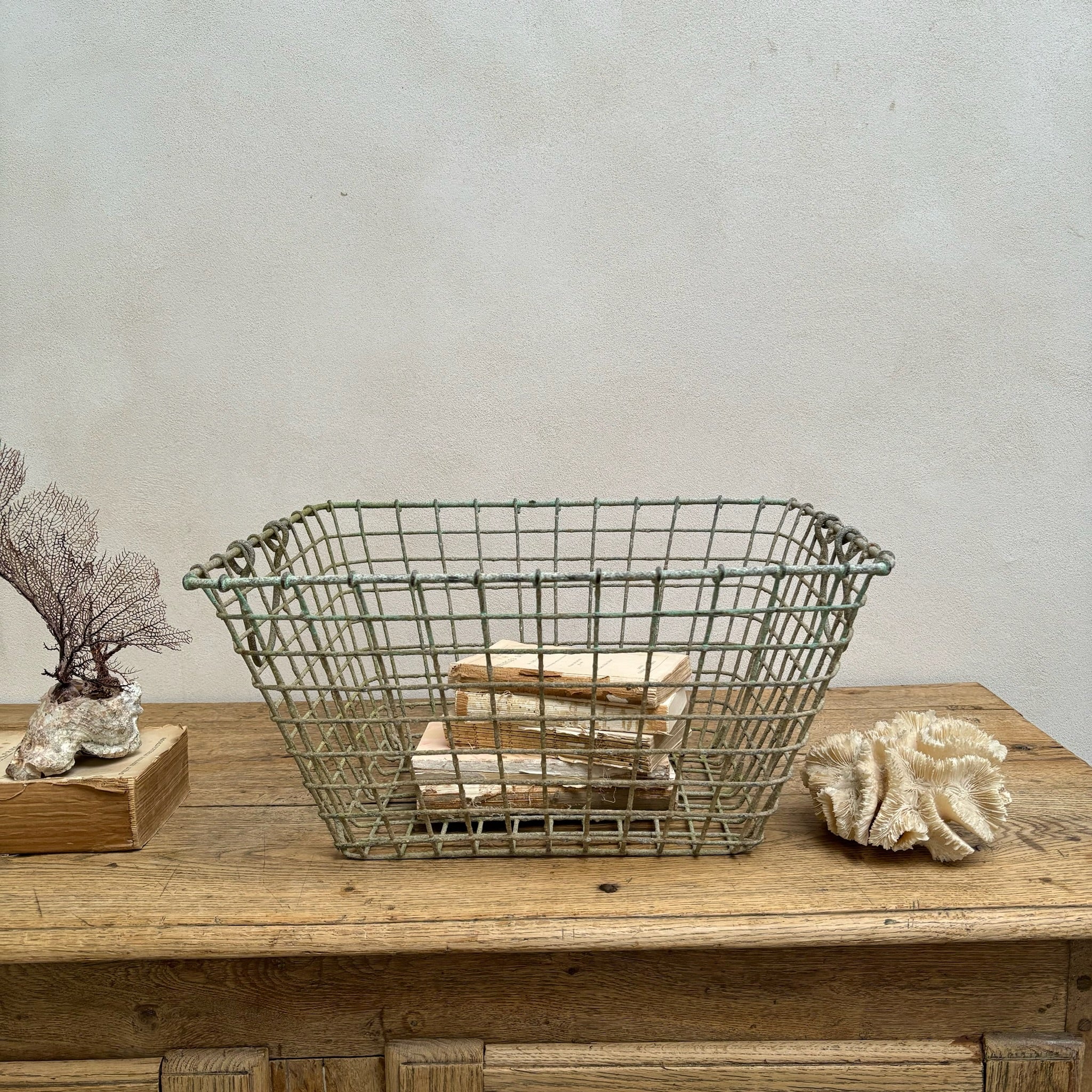 Vintage French Oyster Basket - Image 13
