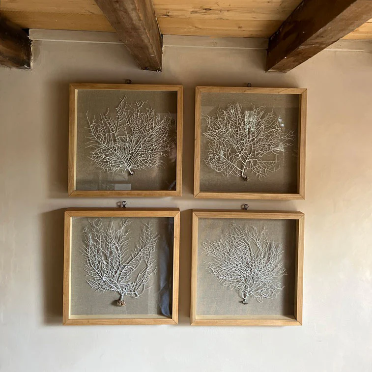 Vintage white sea fan oak | Linen - Image 3