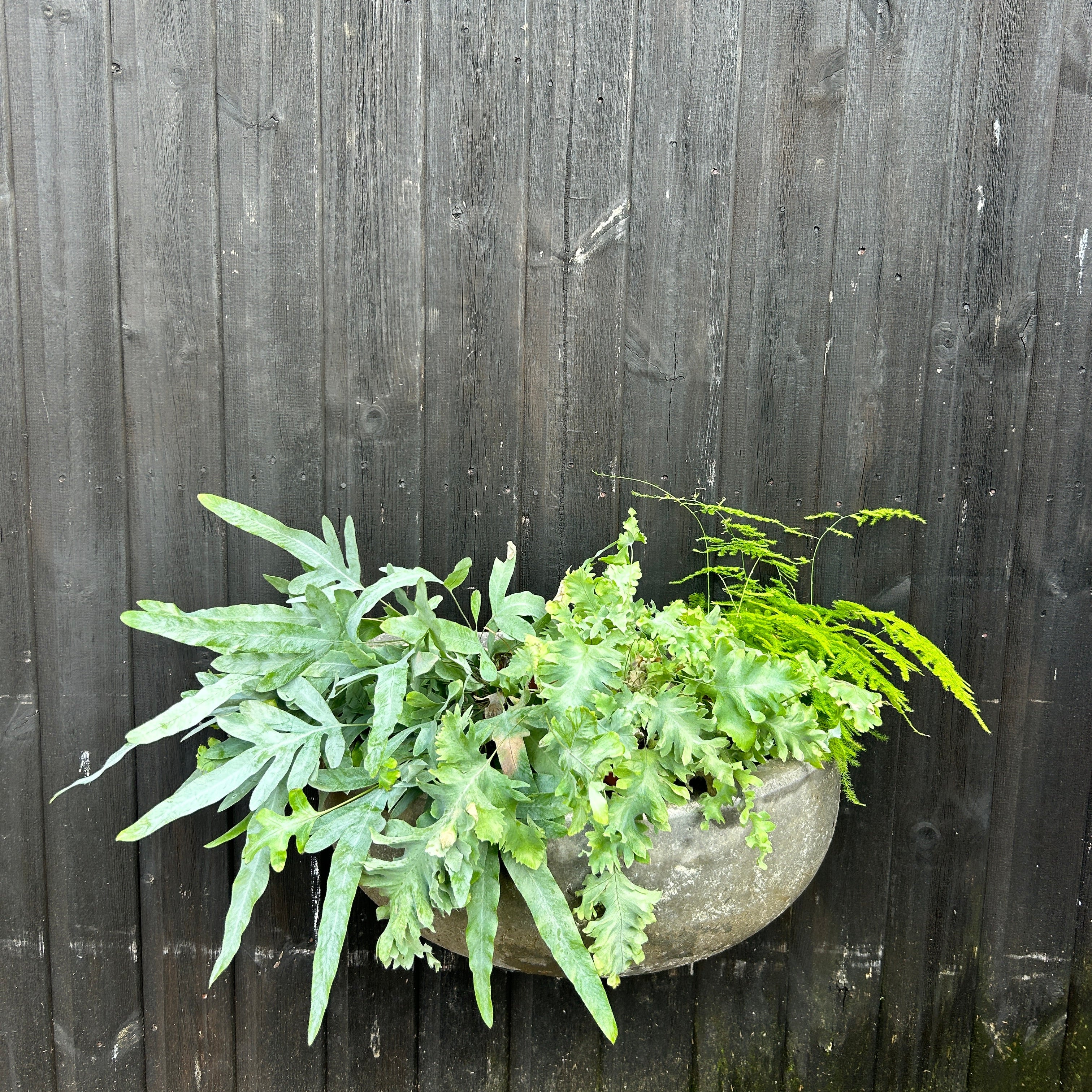 Vintage Zinc Loddon semi-circular wall planters - Image 2